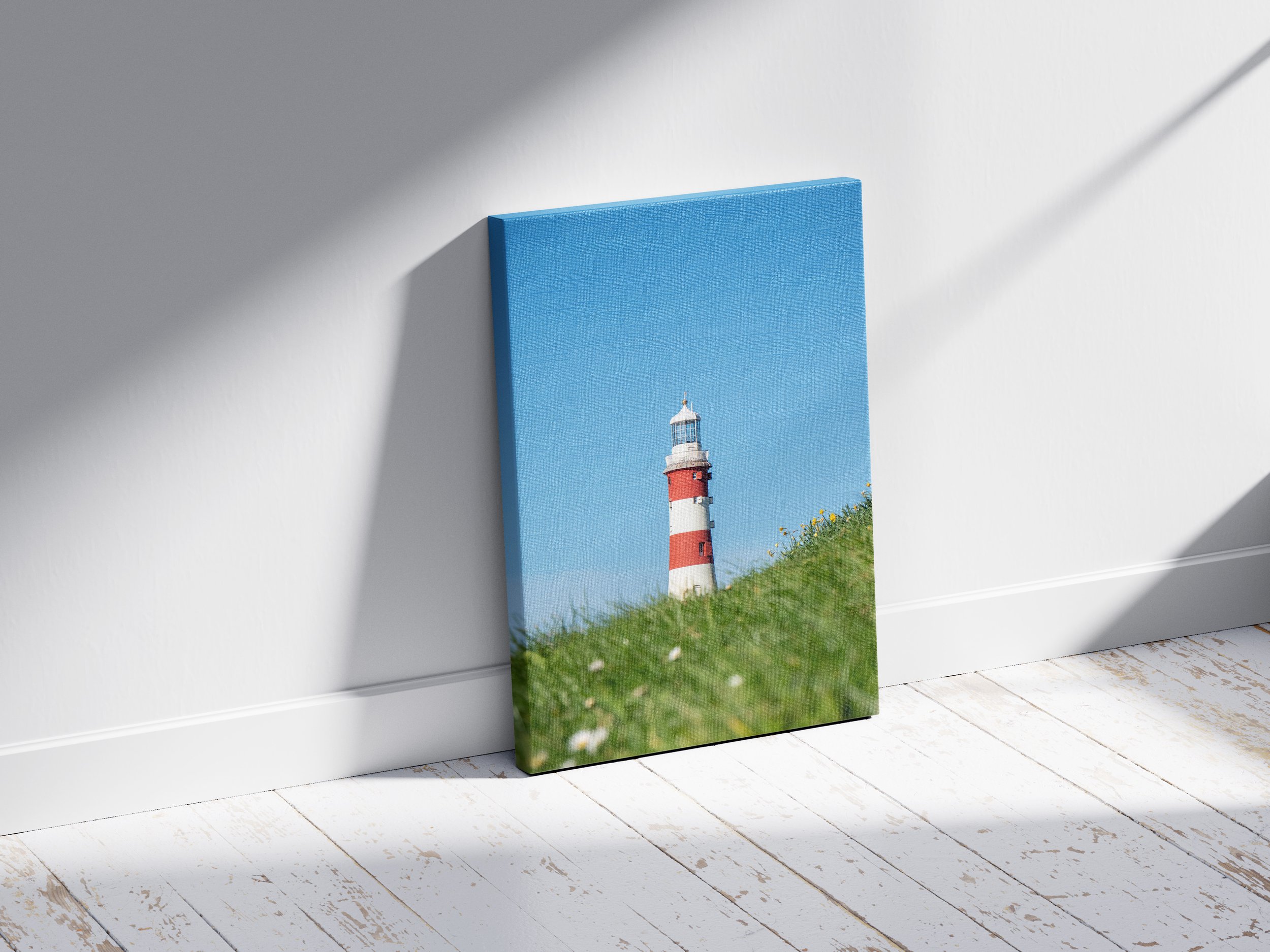 3X2V Canvas Mock up (3).jpg