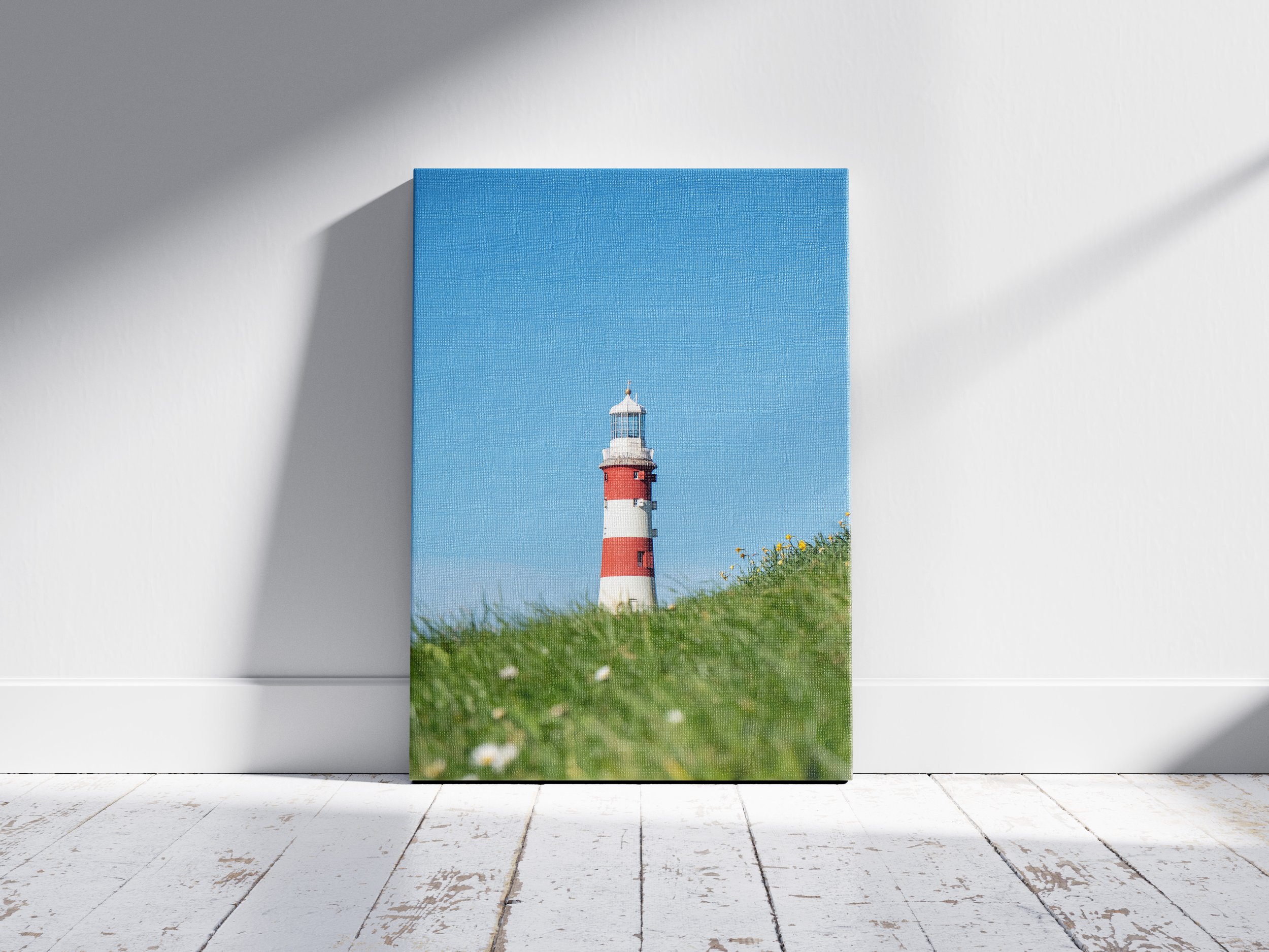 3X2V Canvas Mock up (2).jpg