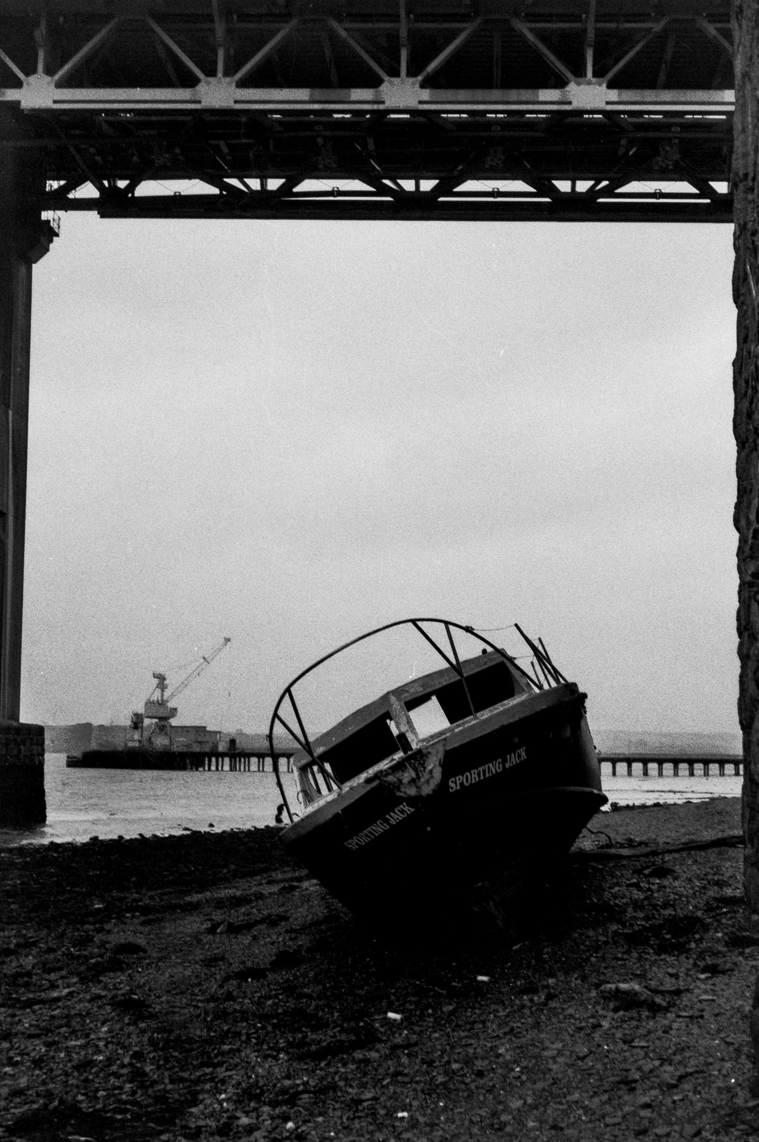 Fomapan 200 061225 Torn (8) Bertram unlabeled .jpg