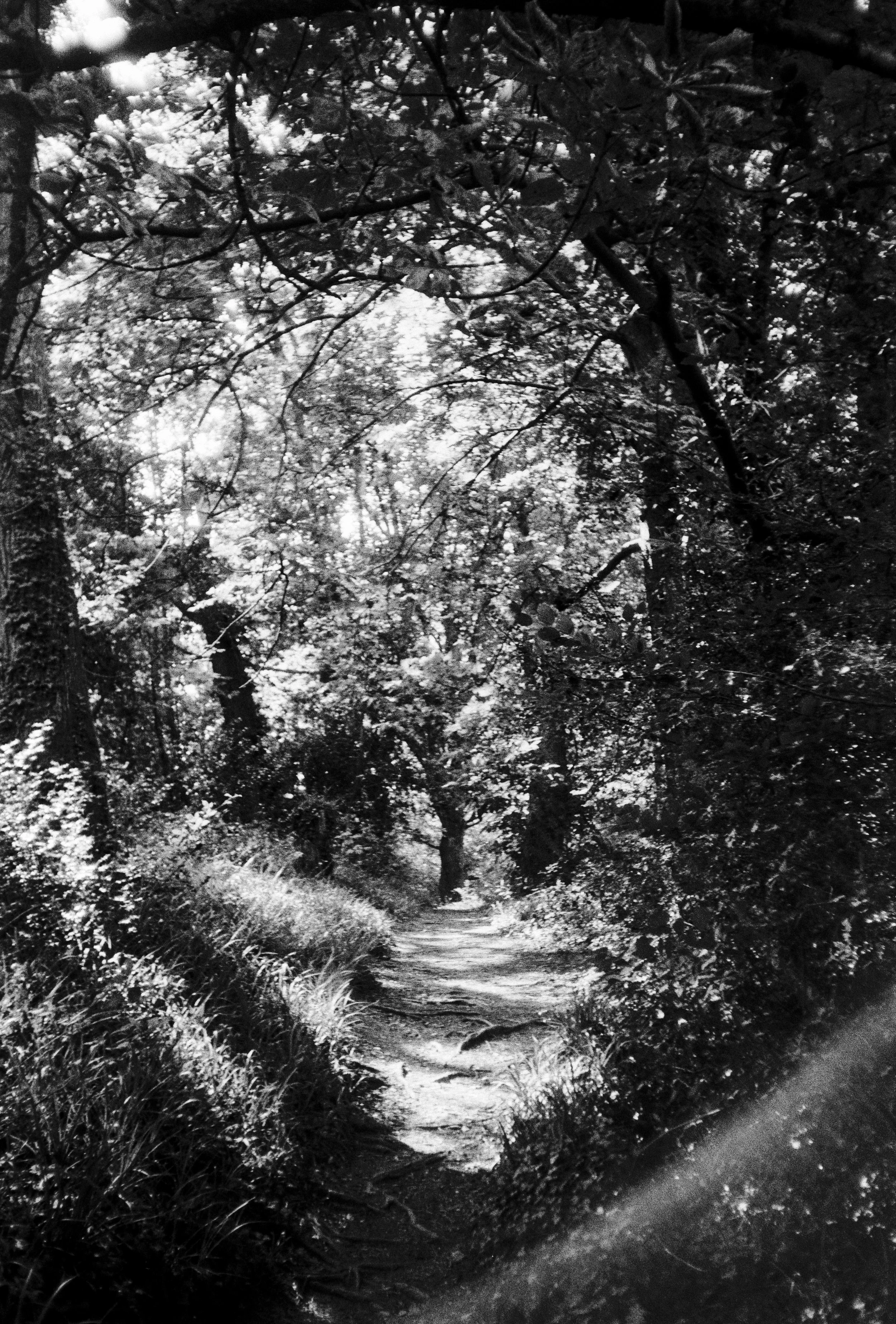 K100 A 020725 (11) Minolta AF-E II.jpg