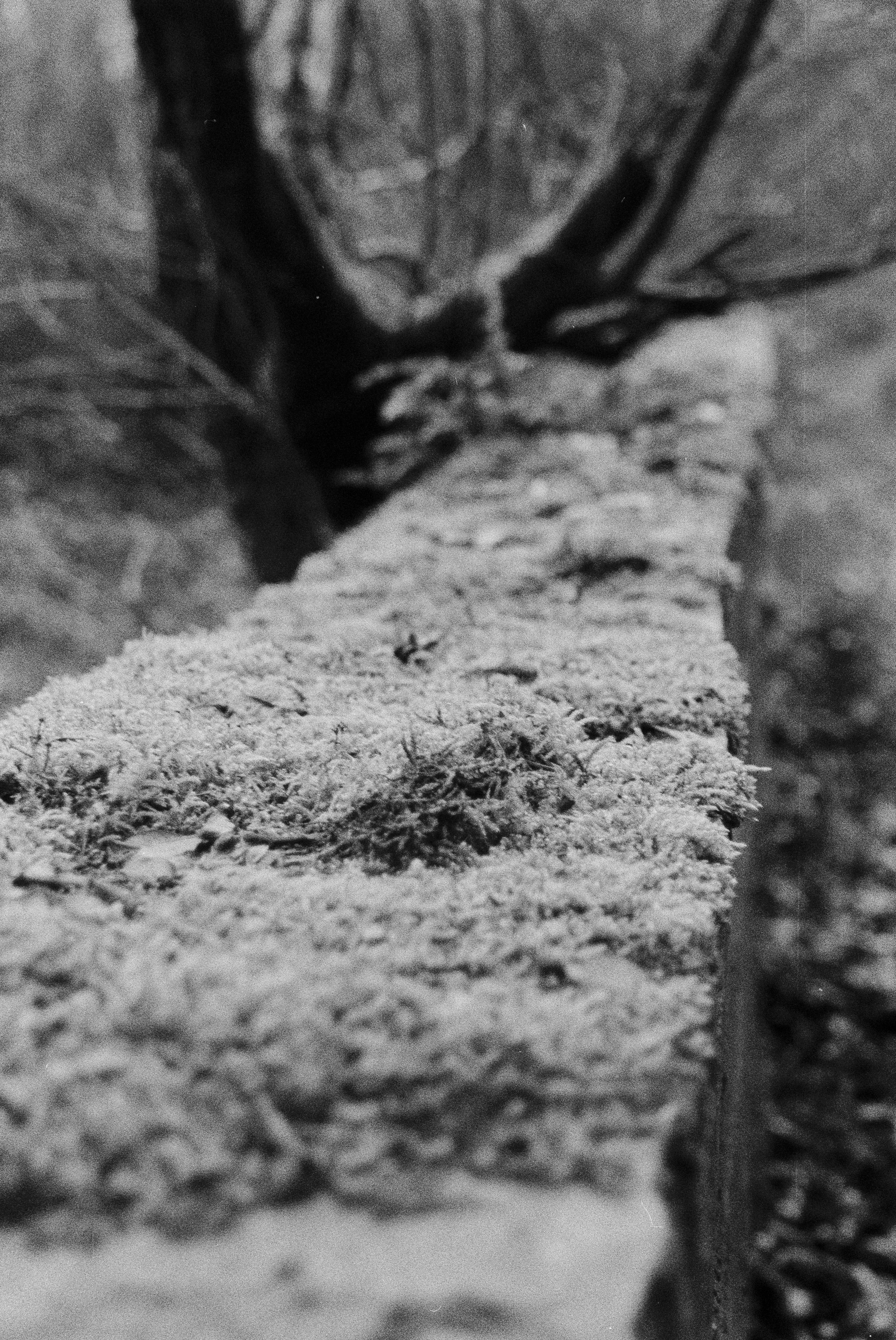 K400 A 221225 (2) Minolta Dynax 4 28-80mm .jpg