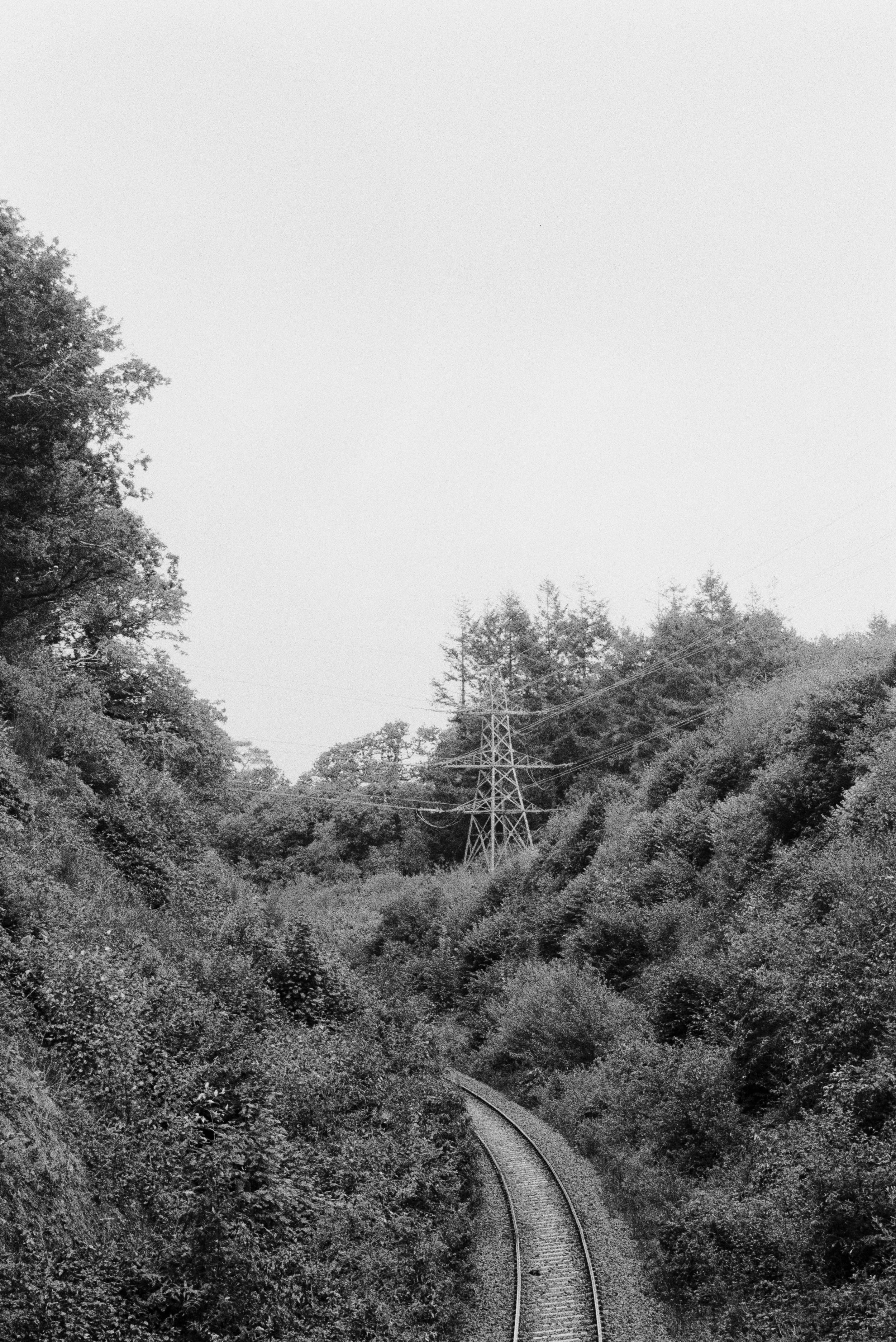 K400 A 280825 (30) Nikon F55 28-80mm .jpg