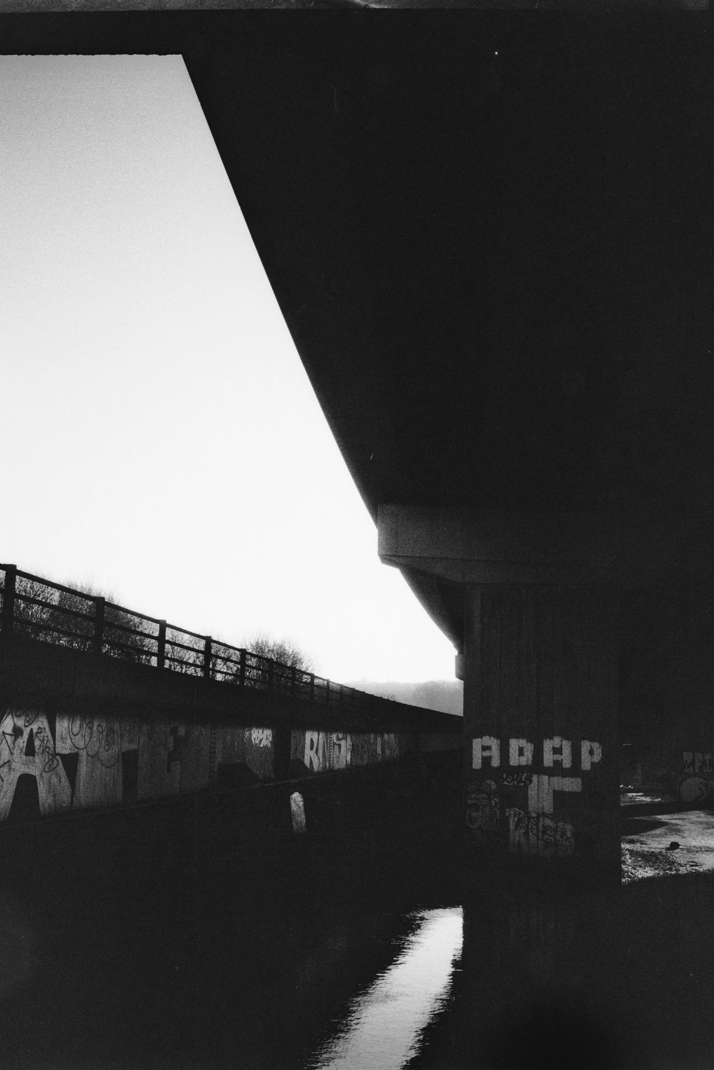 Kentmere 200 A 061225 (16 Ricoh FF-9).jpg