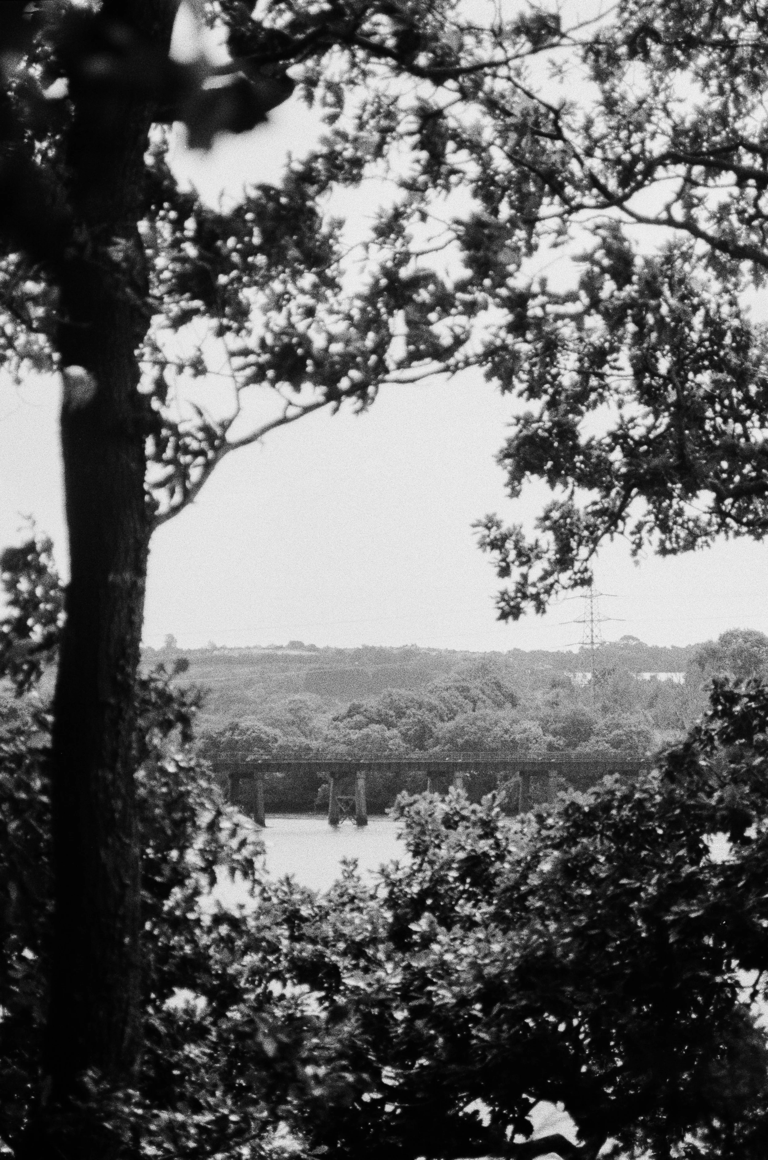 K400 A 280825 (29) Nikon F55 28-80mm .jpg