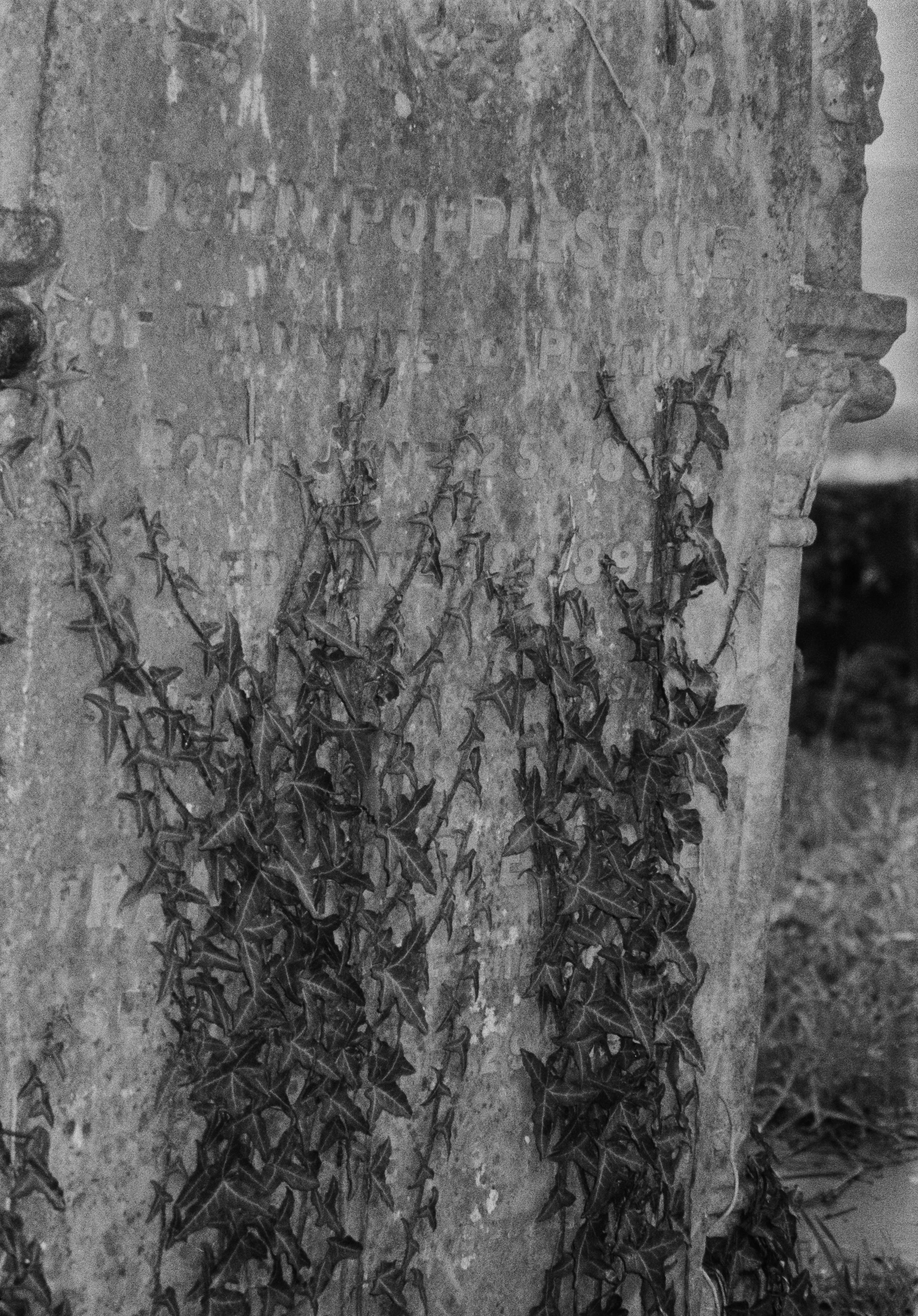 K400 C 2HP 300126 (16) Minolta Riva Zoom 125EX.jpg