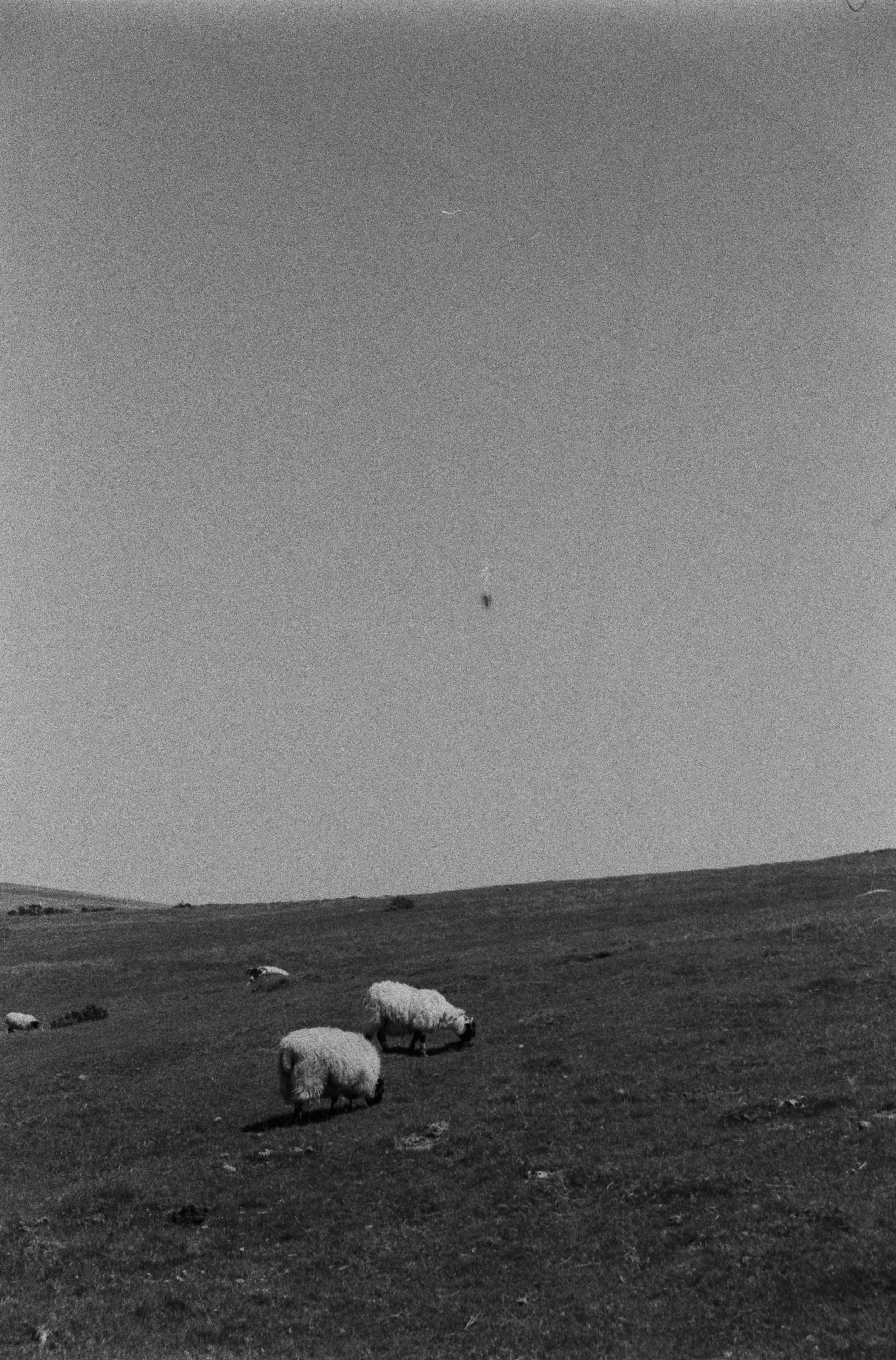 K400A 120526 (30) Canon EOS 750 35-70mm.jpg