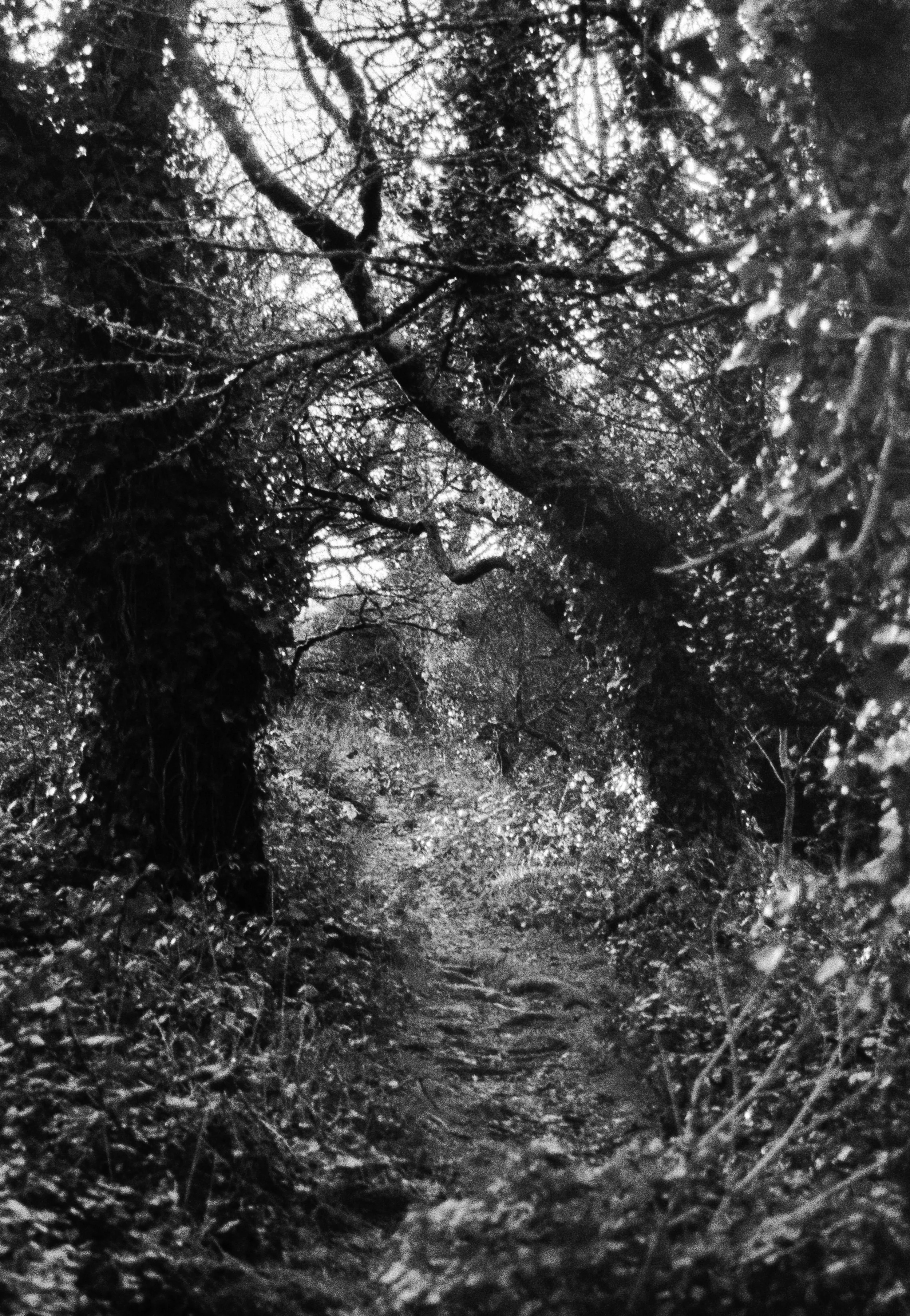 K400 C 2HP 300126 (13) Minolta Riva Zoom 125EX.jpg