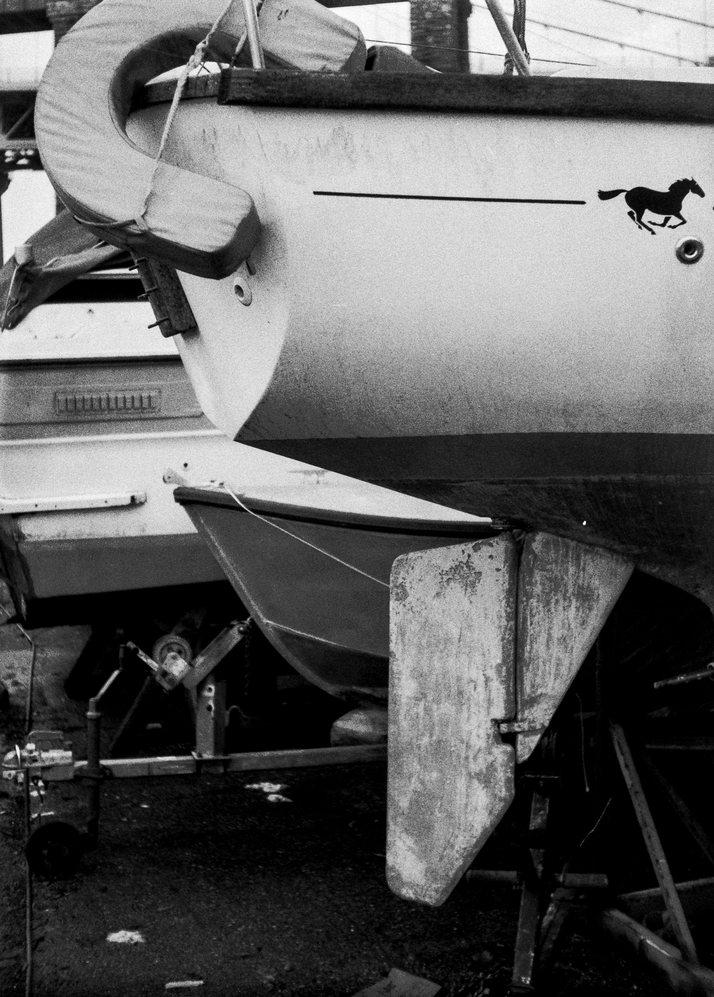 Fomapan 200 061225 Torn (10) Halina Pax Ruby.jpg