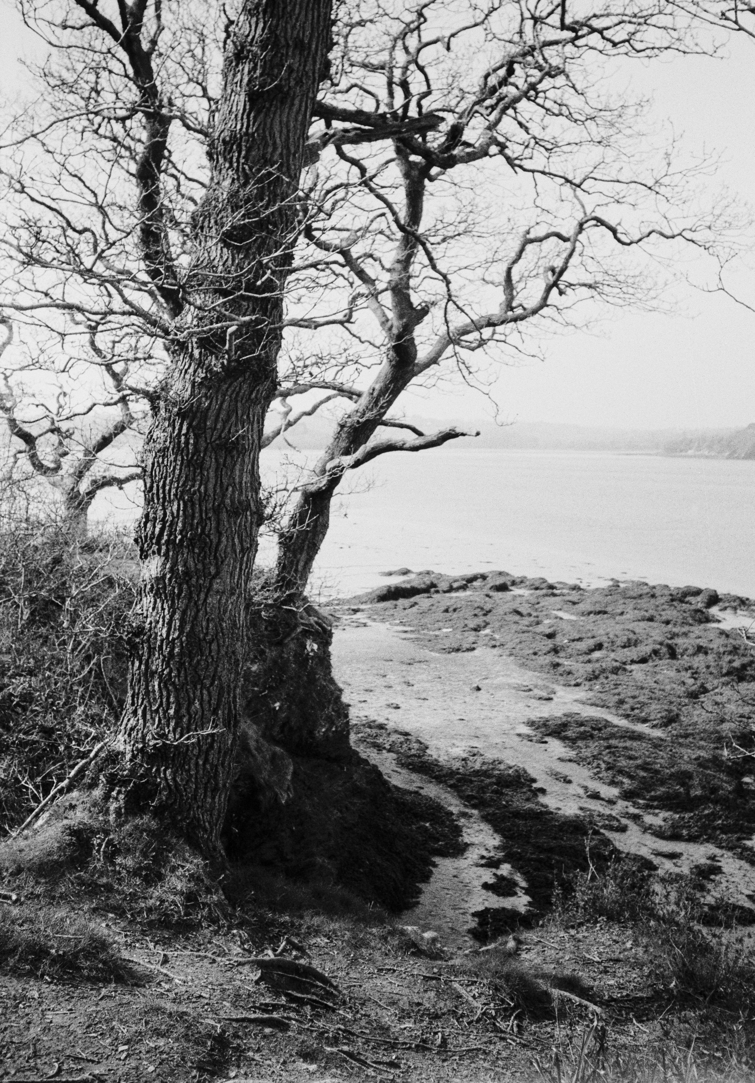 Type 517 A 110326 (4) Ricoh YF-20 .jpg