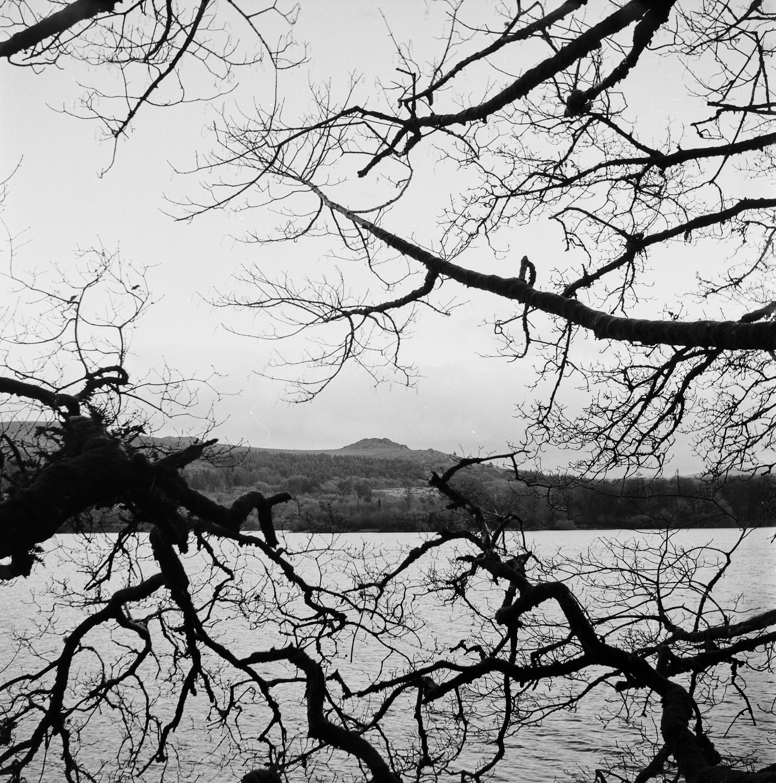 120 Kentmere 200 151225 (6) Lubitel 166 Universal.jpg