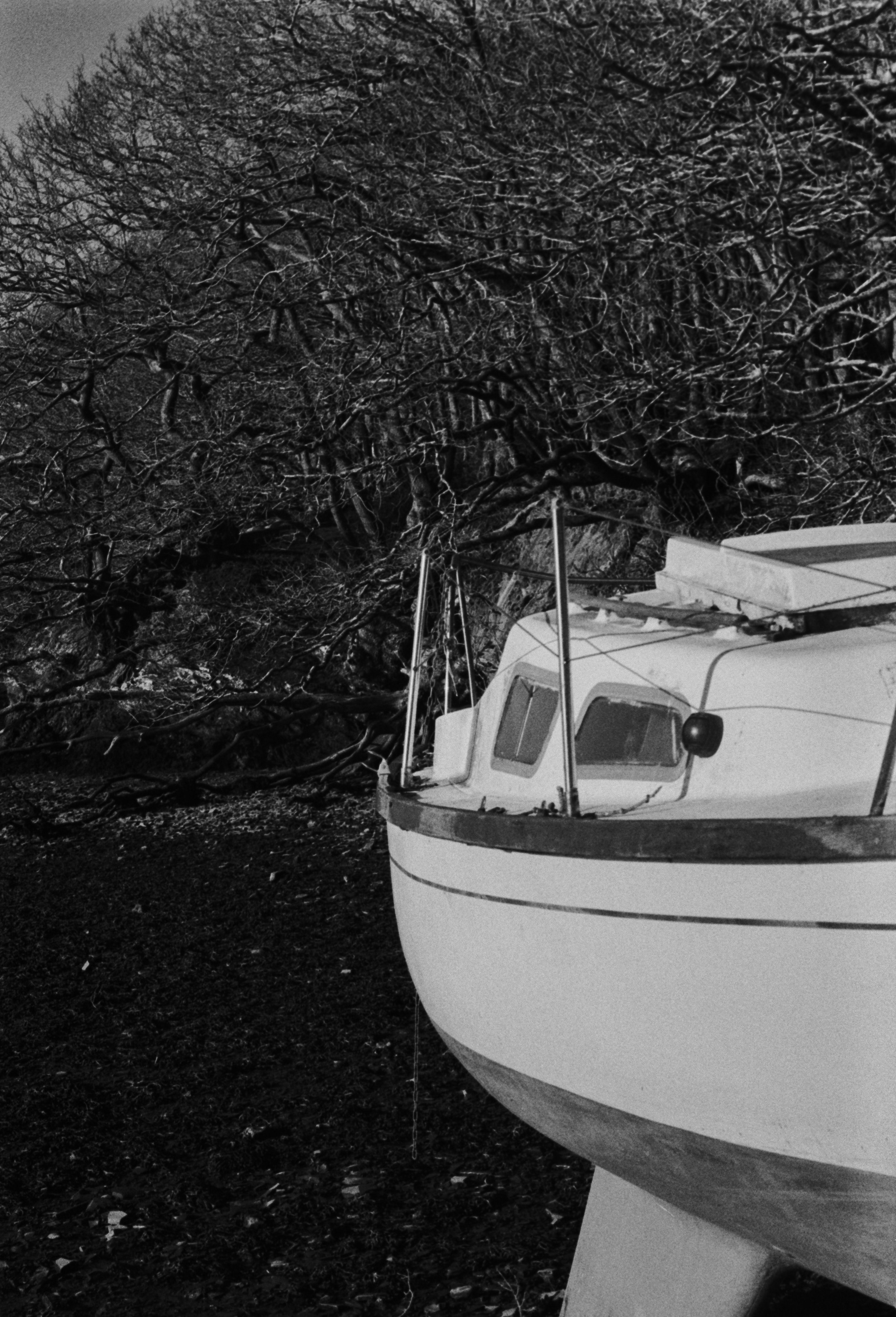 K400 BHP 221225 (14) Pentax P50 Tokina 70-210mm.jpg