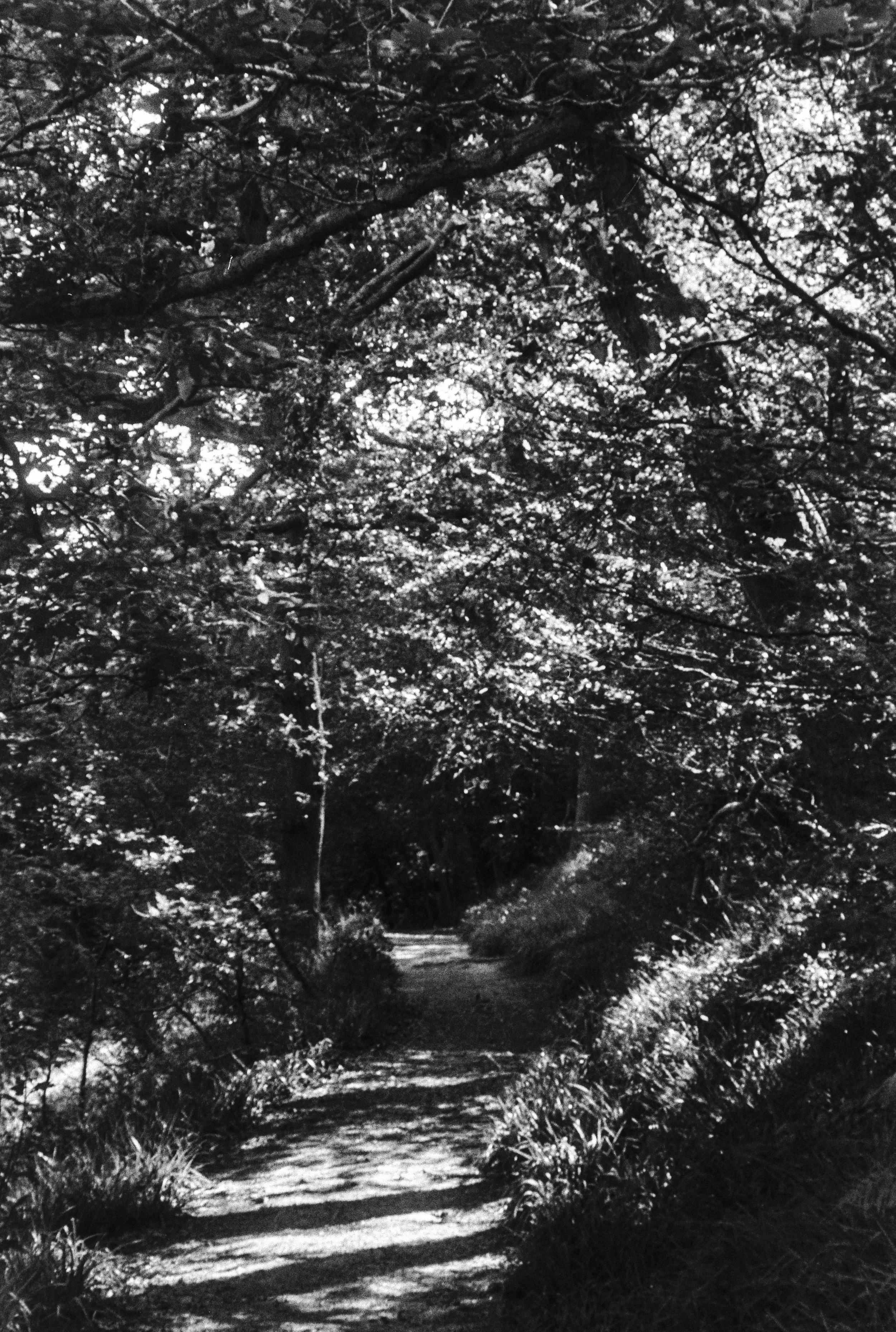 K100B HP 020725 (13) Nikon Lite Touch Zoom 70W AF.jpg
