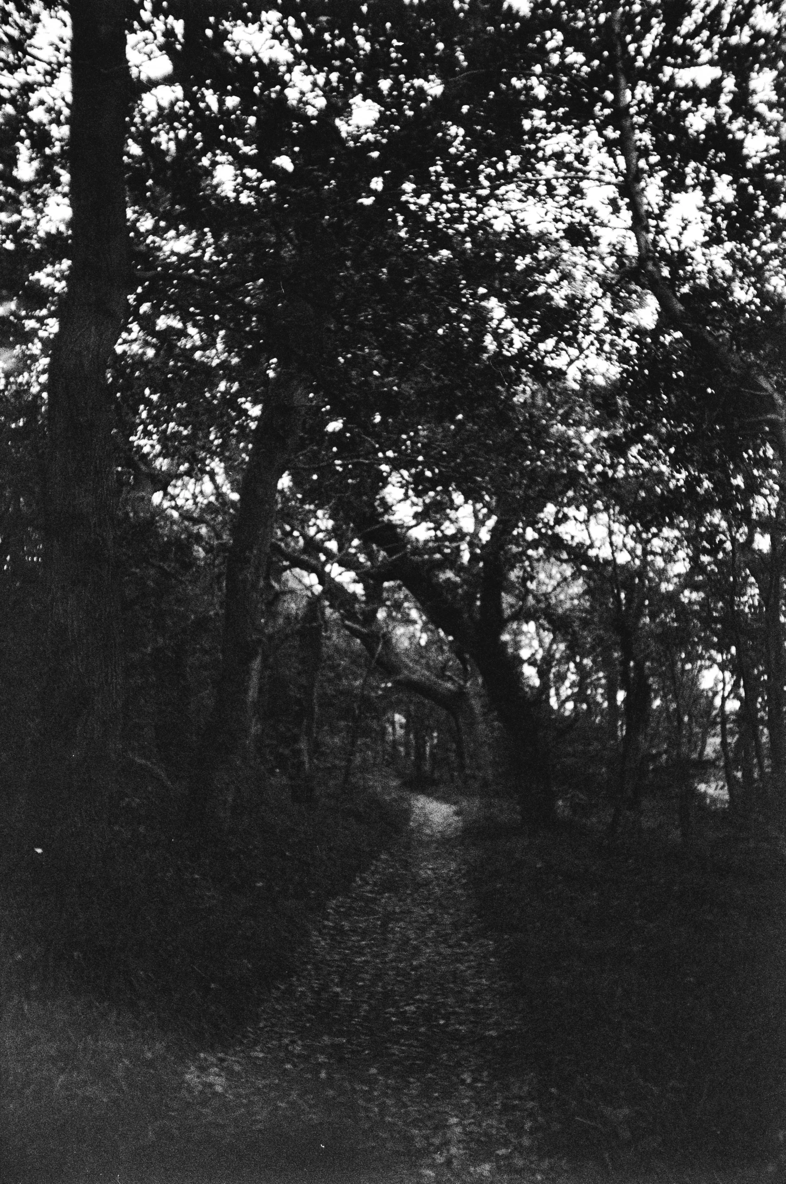 K400A 131025 (12) Hanimex 35HF.jpg