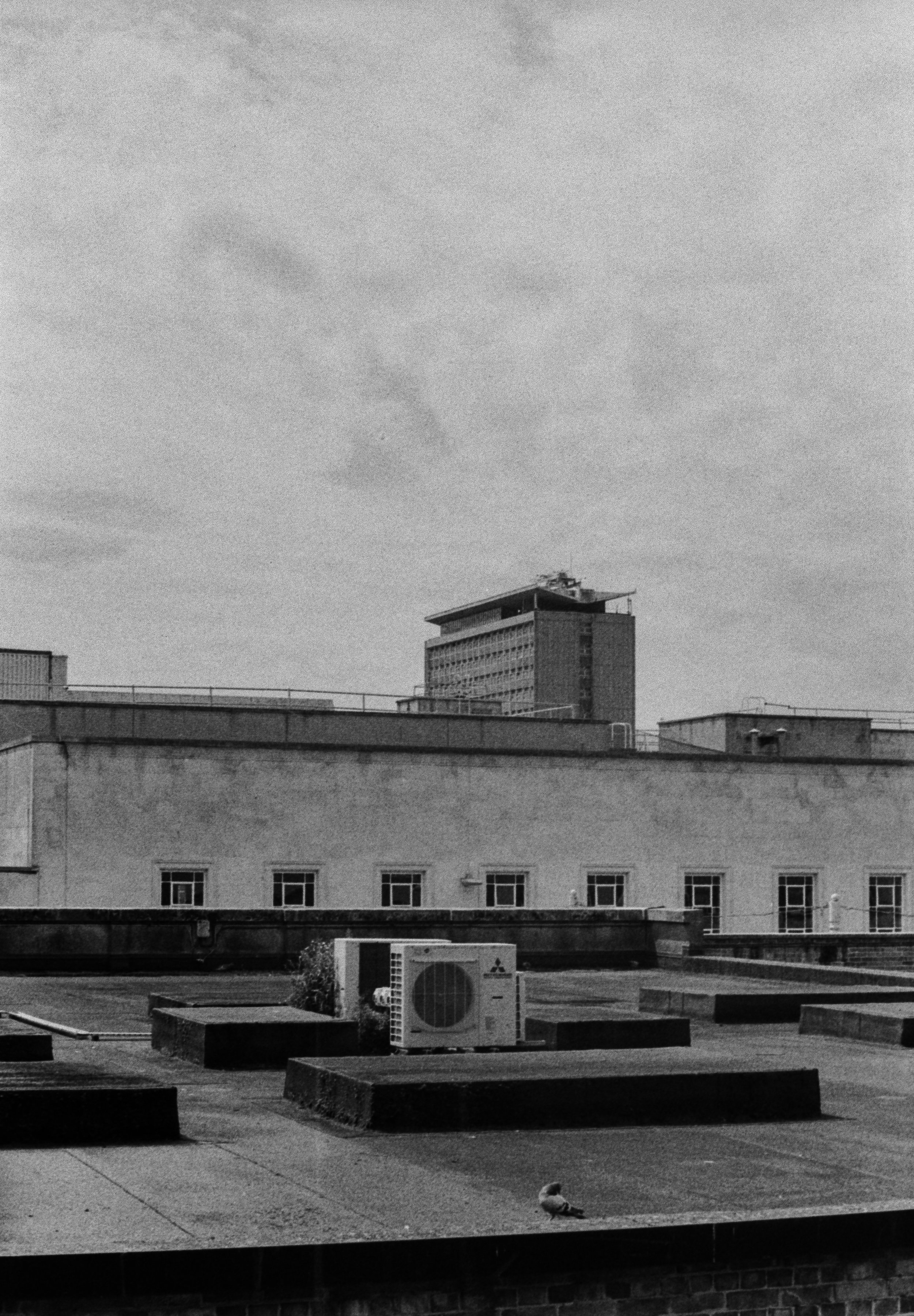 Type 517 A 210626 (38) Praktica Super TL3.jpg