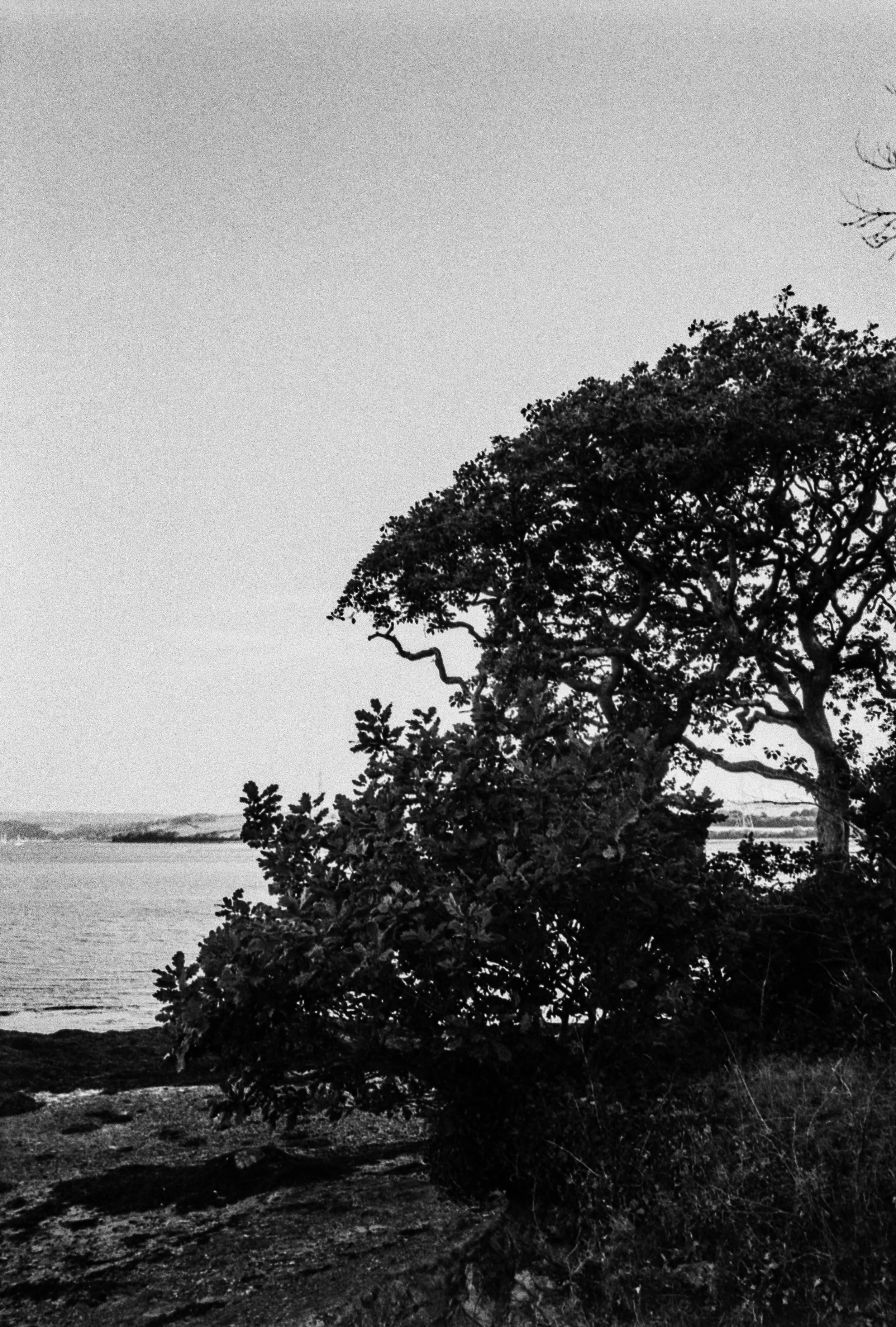 K100 A 22 08 26 (14) - Minolta X-300.jpg