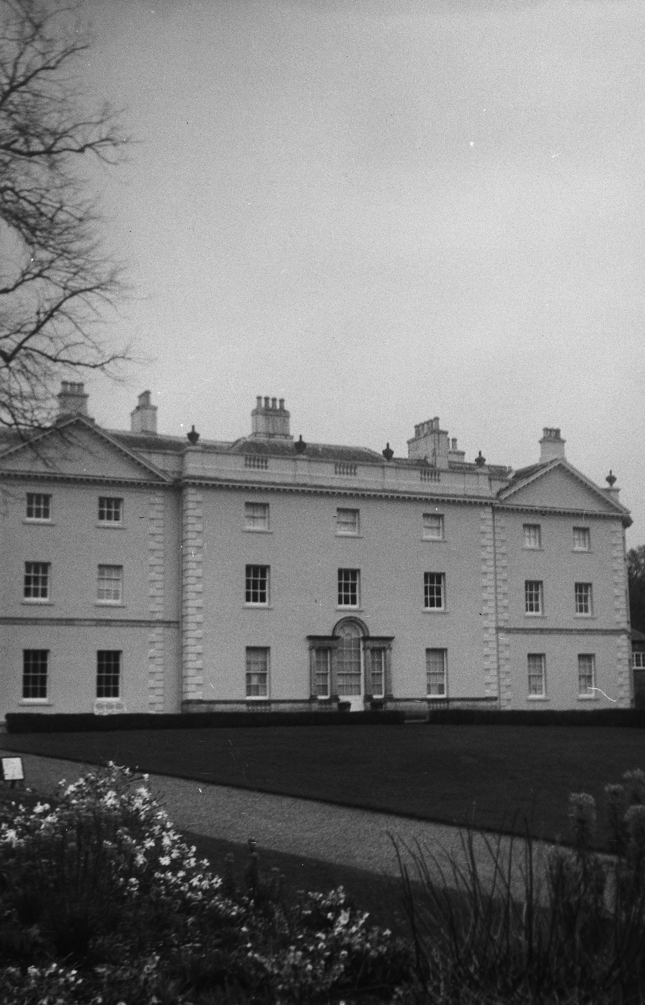 K100 120 240226 (5) Zeiss Ikon Nettar 510.jpg