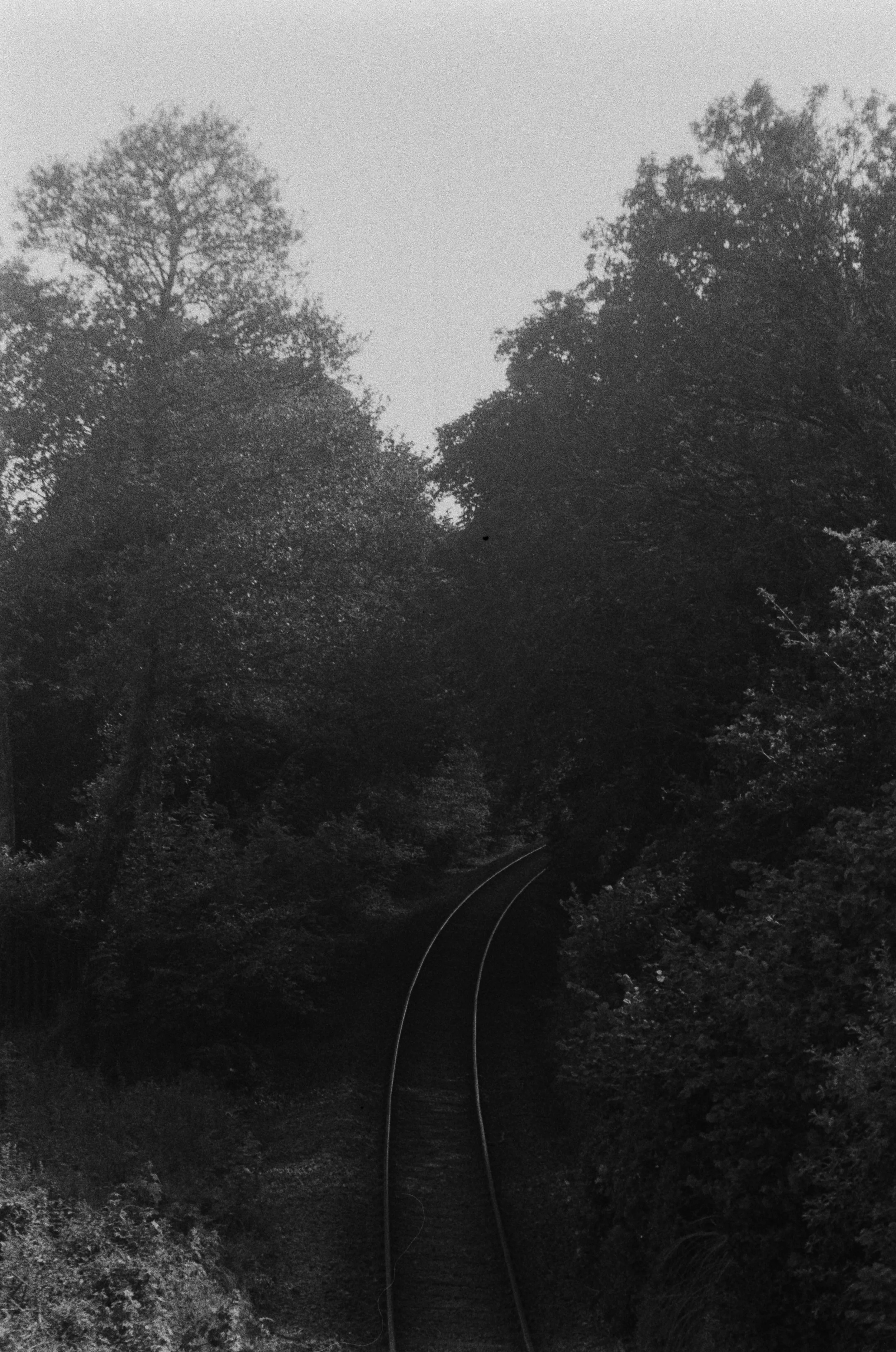 K400A 120526 (14) Yashica 270.jpg