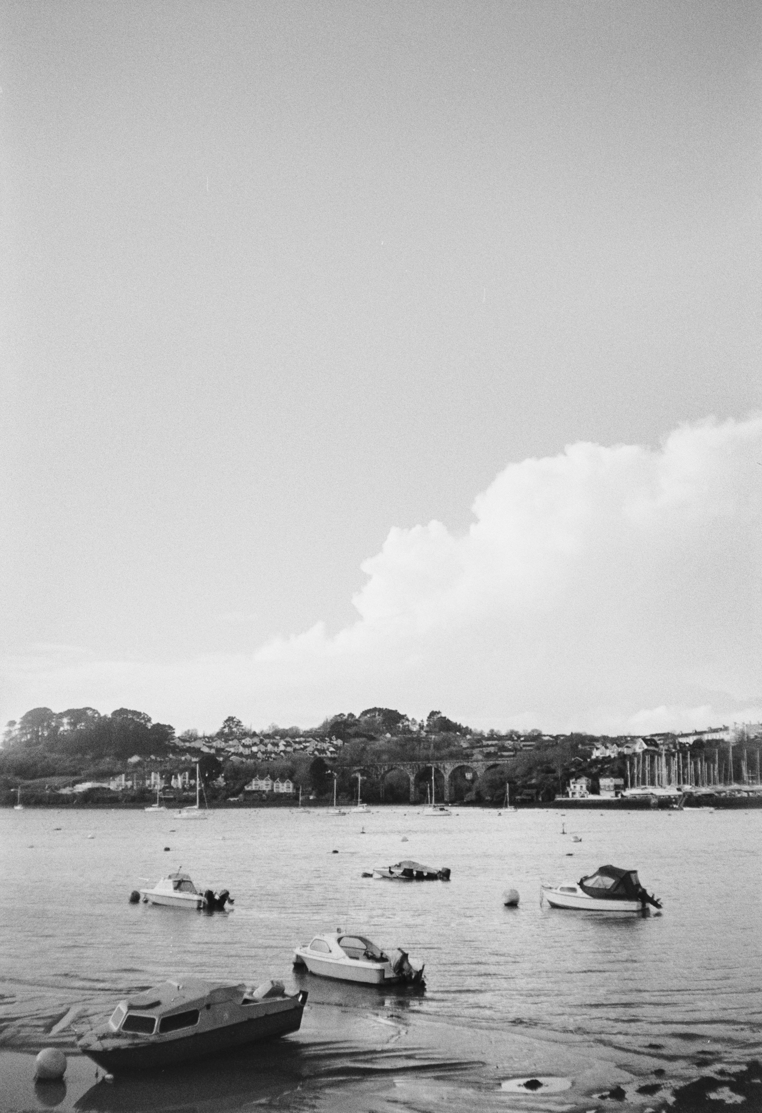 K100 B HP 140126 (33) Olympus Trip 100.jpg