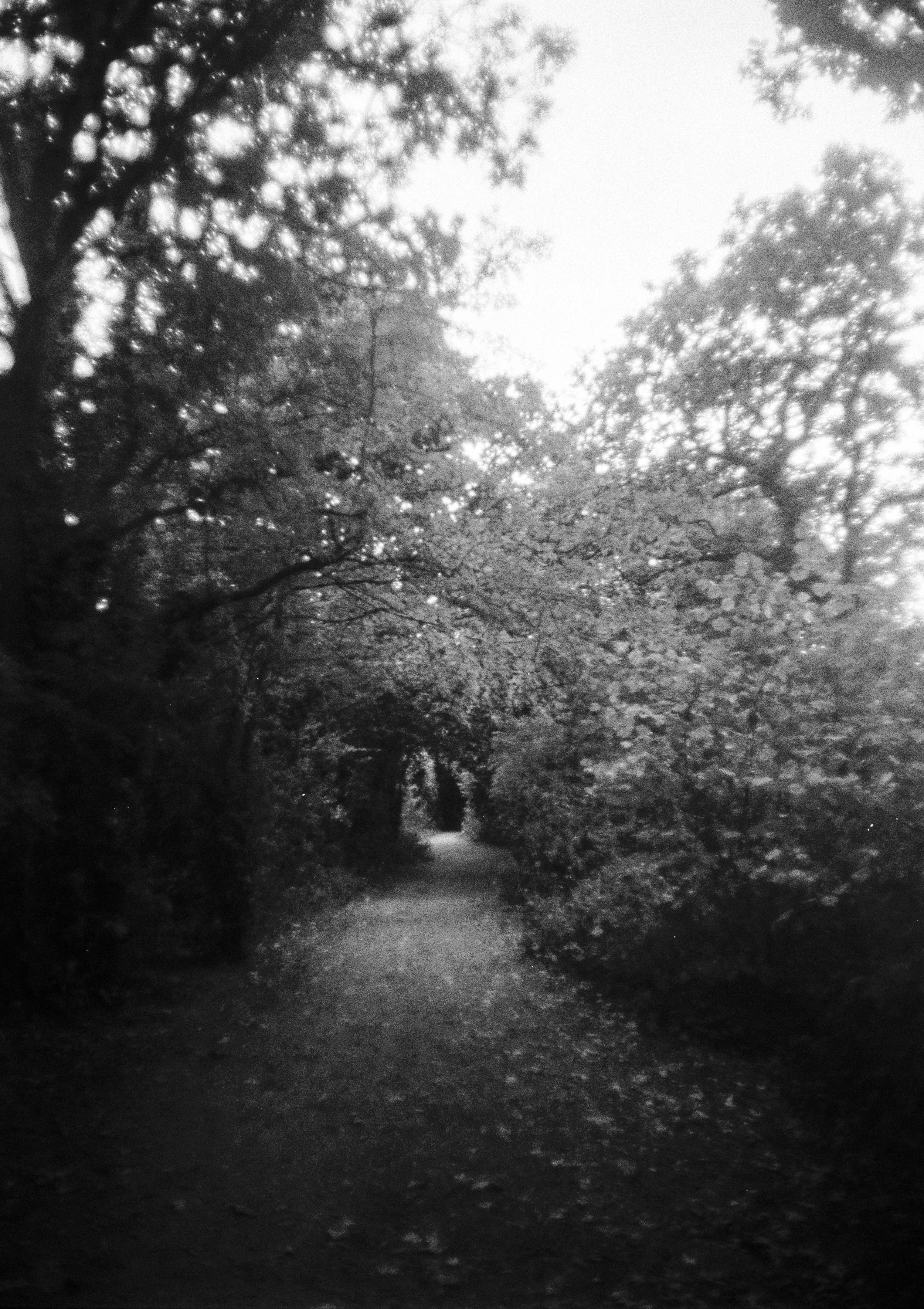K100A 300725 (35) Praktica Super TL1000 Miranda 28mm.jpg