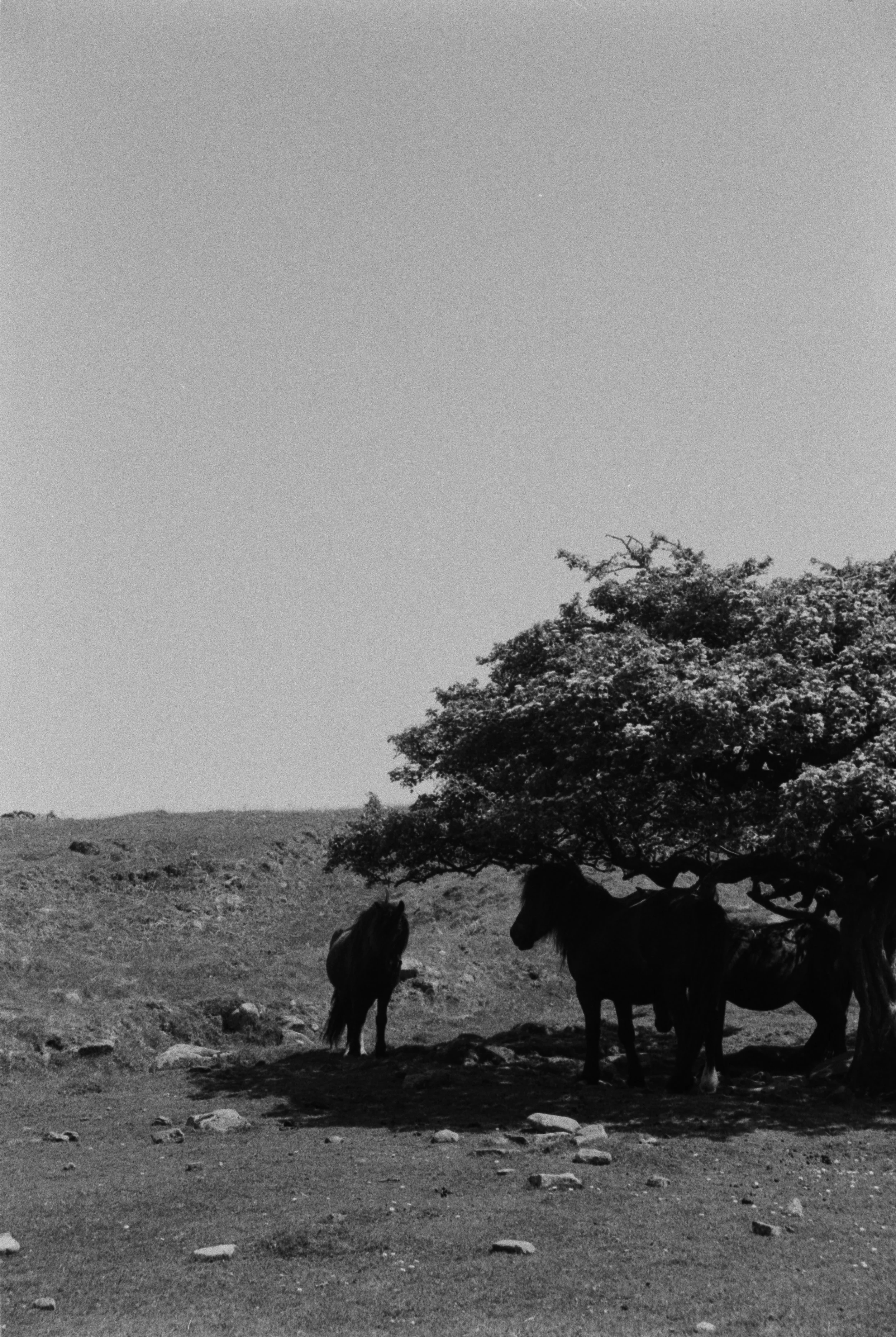 K400A 120526 (29) Canon EOS 750 35-70mm.jpg
