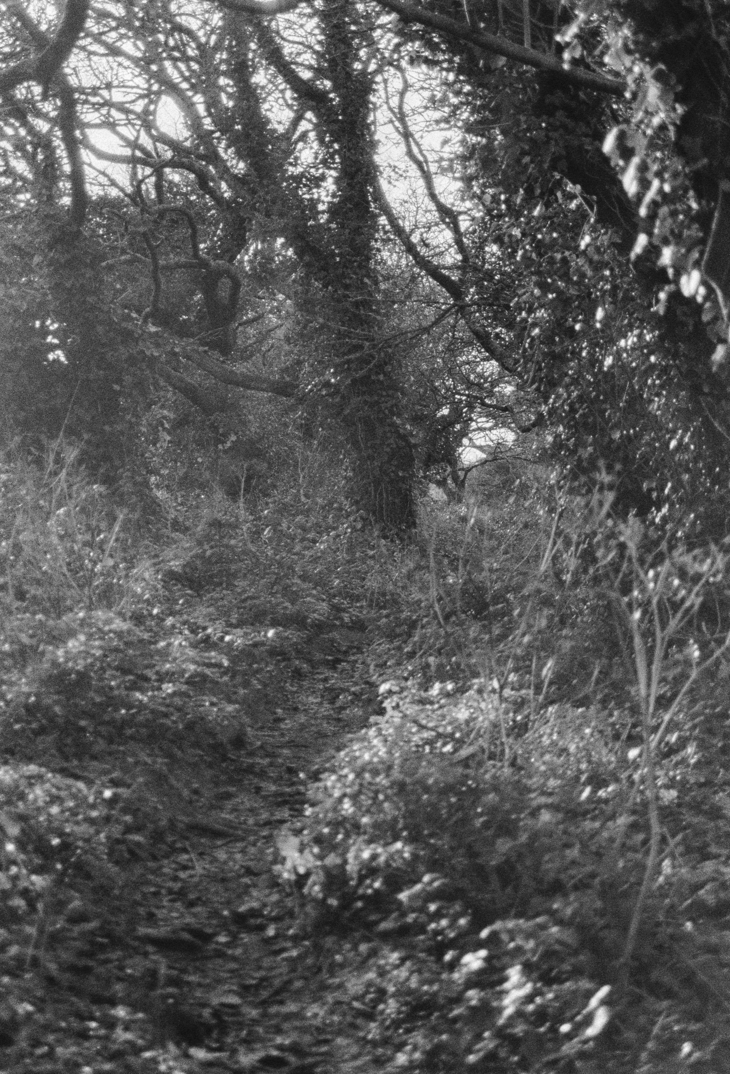 K400 D 3HP 300126 (3) Minolta Dynax 404si 28-80mm.jpg