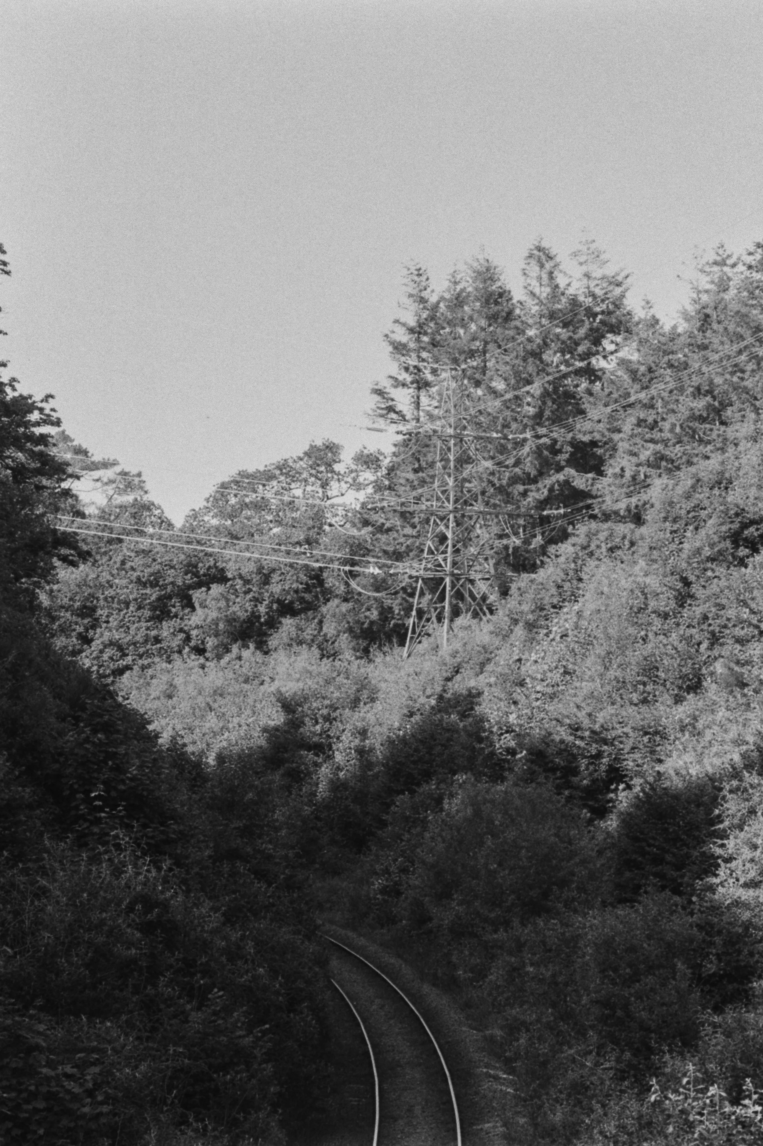 K400 BHP 120526 (29) Minolta AF - Tamron 70-300mm.jpg