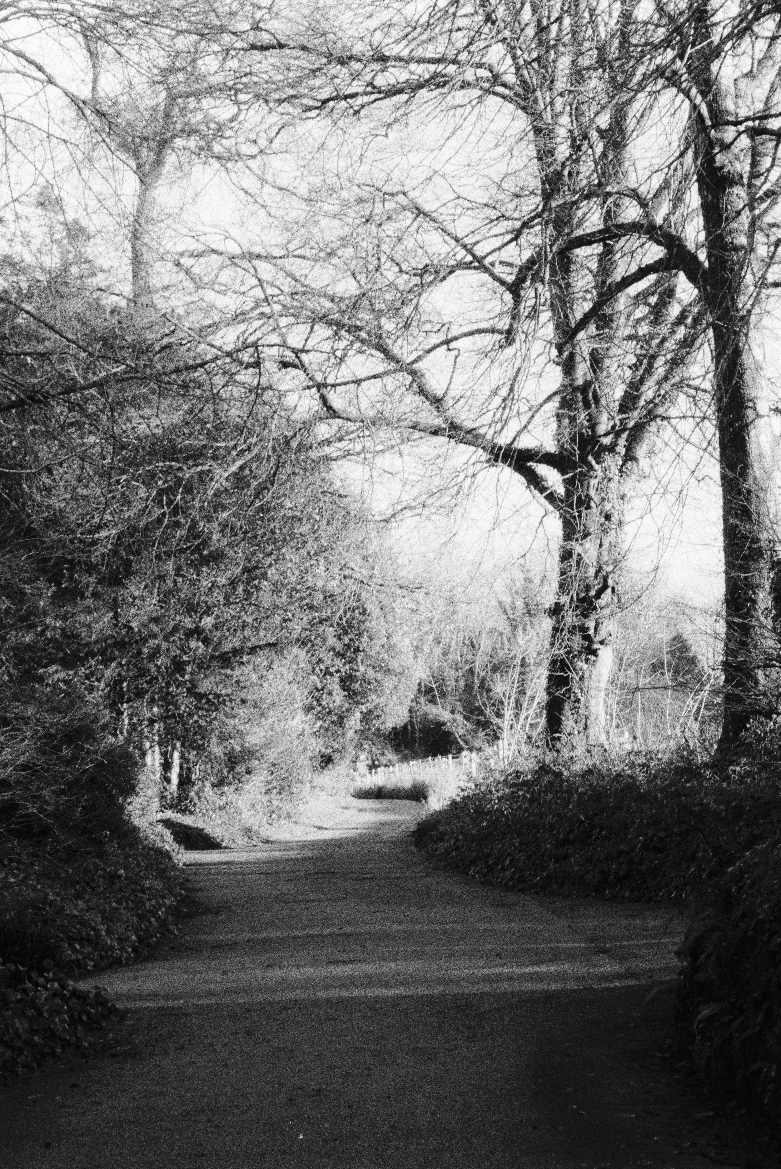 K400 A 101225 (36) Ricoh RZ-900 Date.jpg