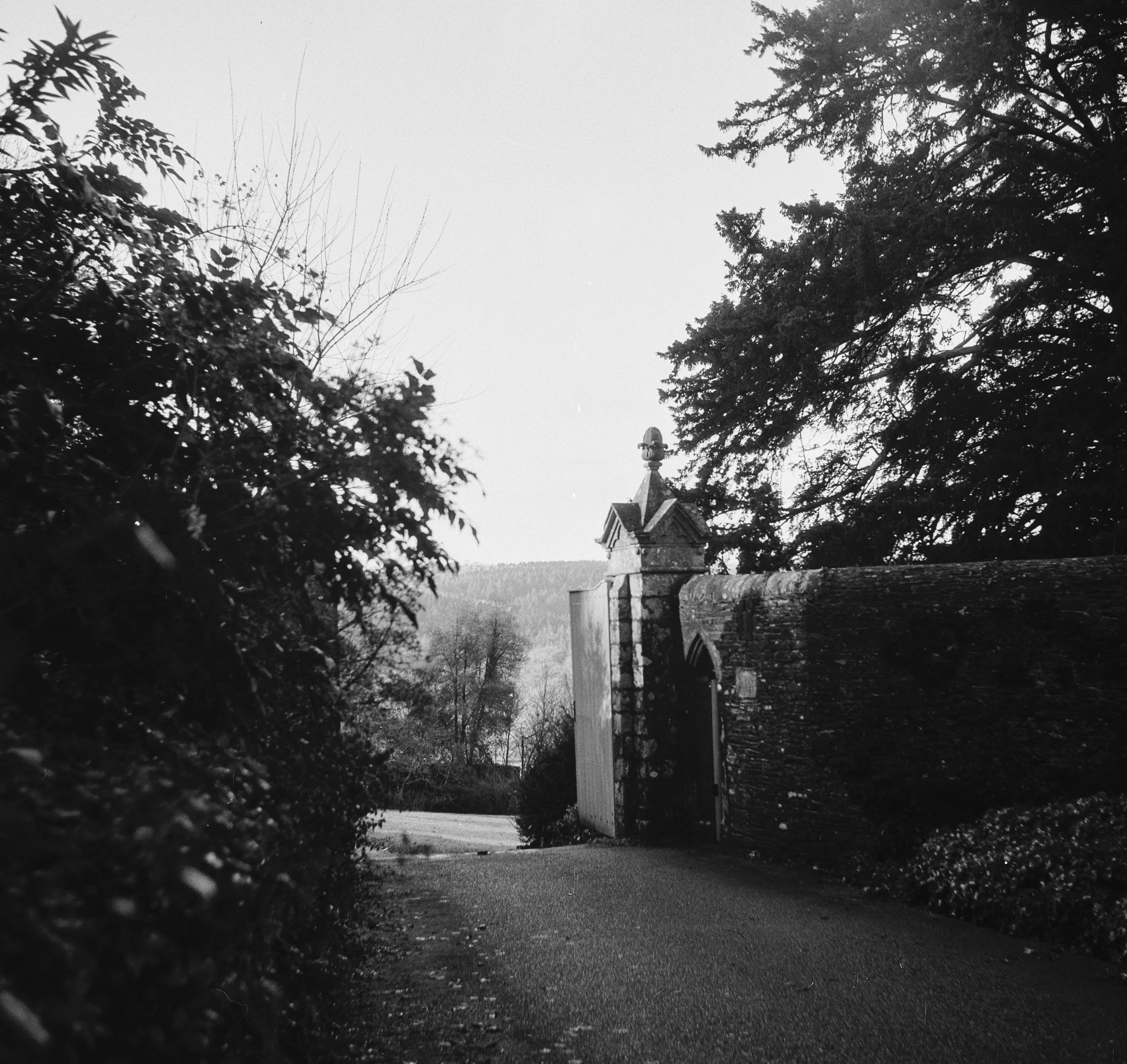 120 Kentmere 200 151225 (3) Lubitel 2.jpg