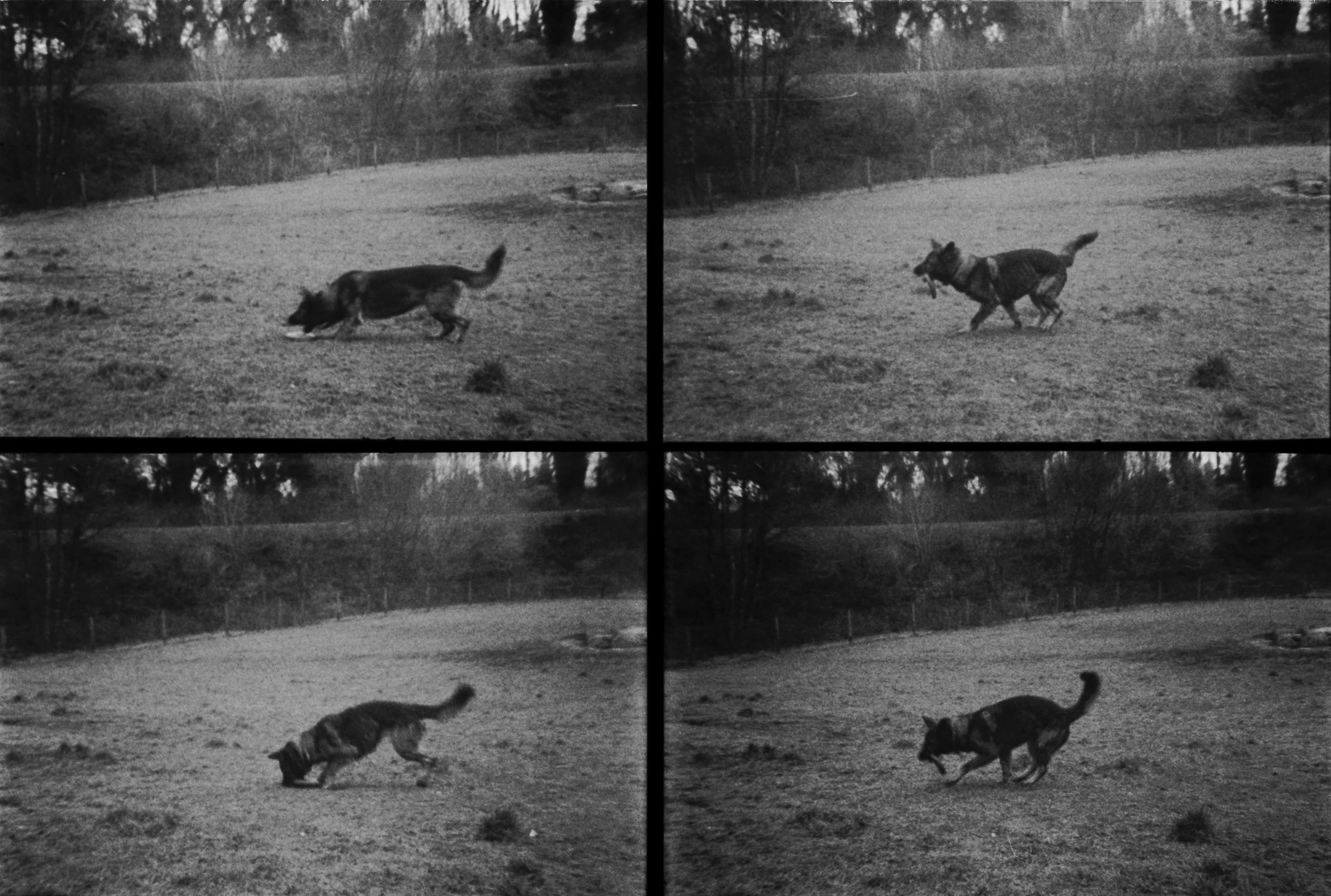 K400 BHP 221225 (7) ADi Tracker.jpg