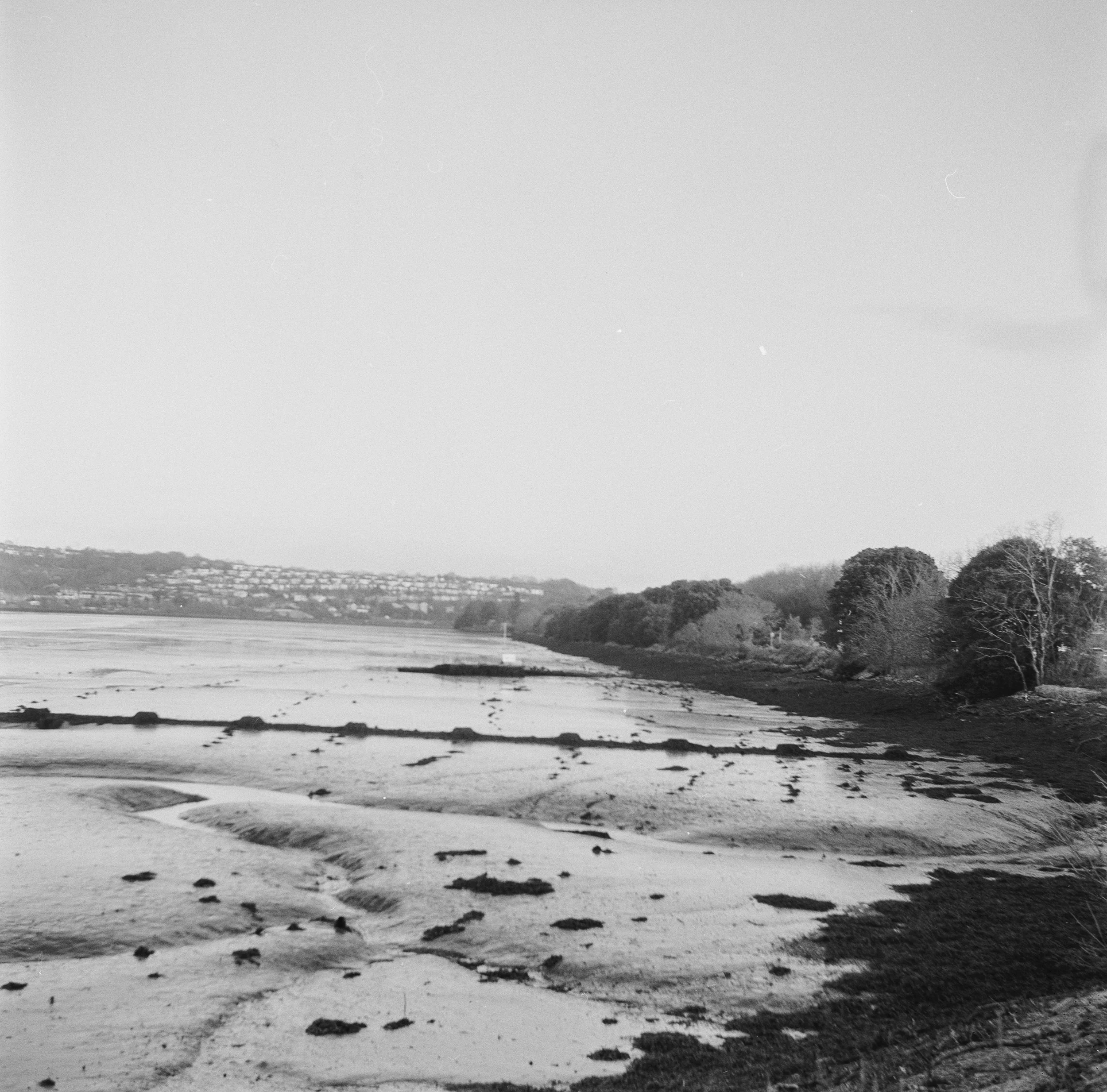 120 Kentmere 200 151225 (1) Lubitel 2.jpg