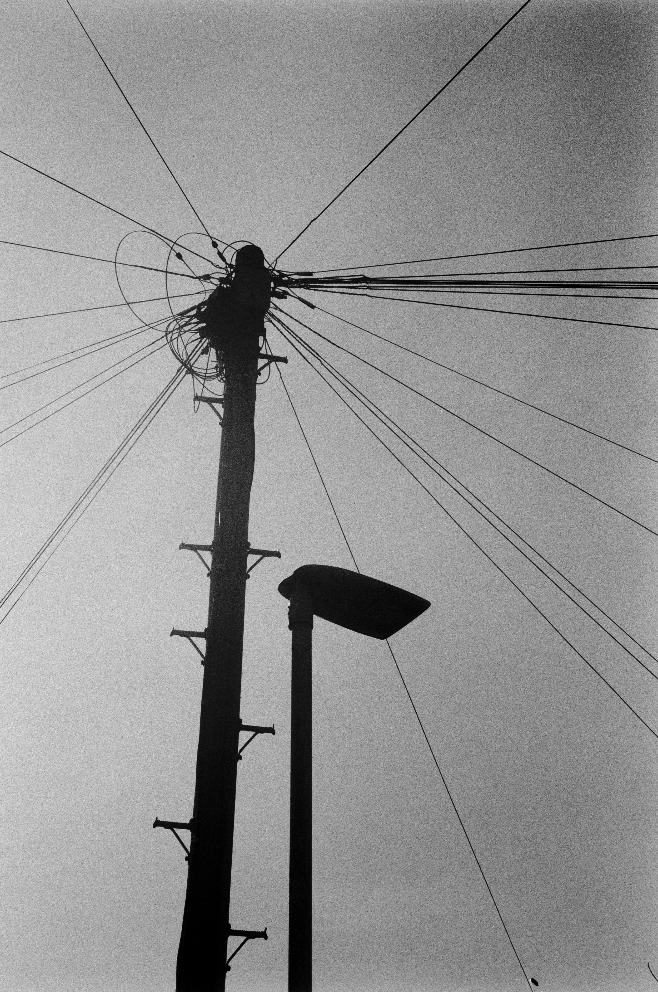 K200 A 210226 (36) Canon T50 50mm.jpg