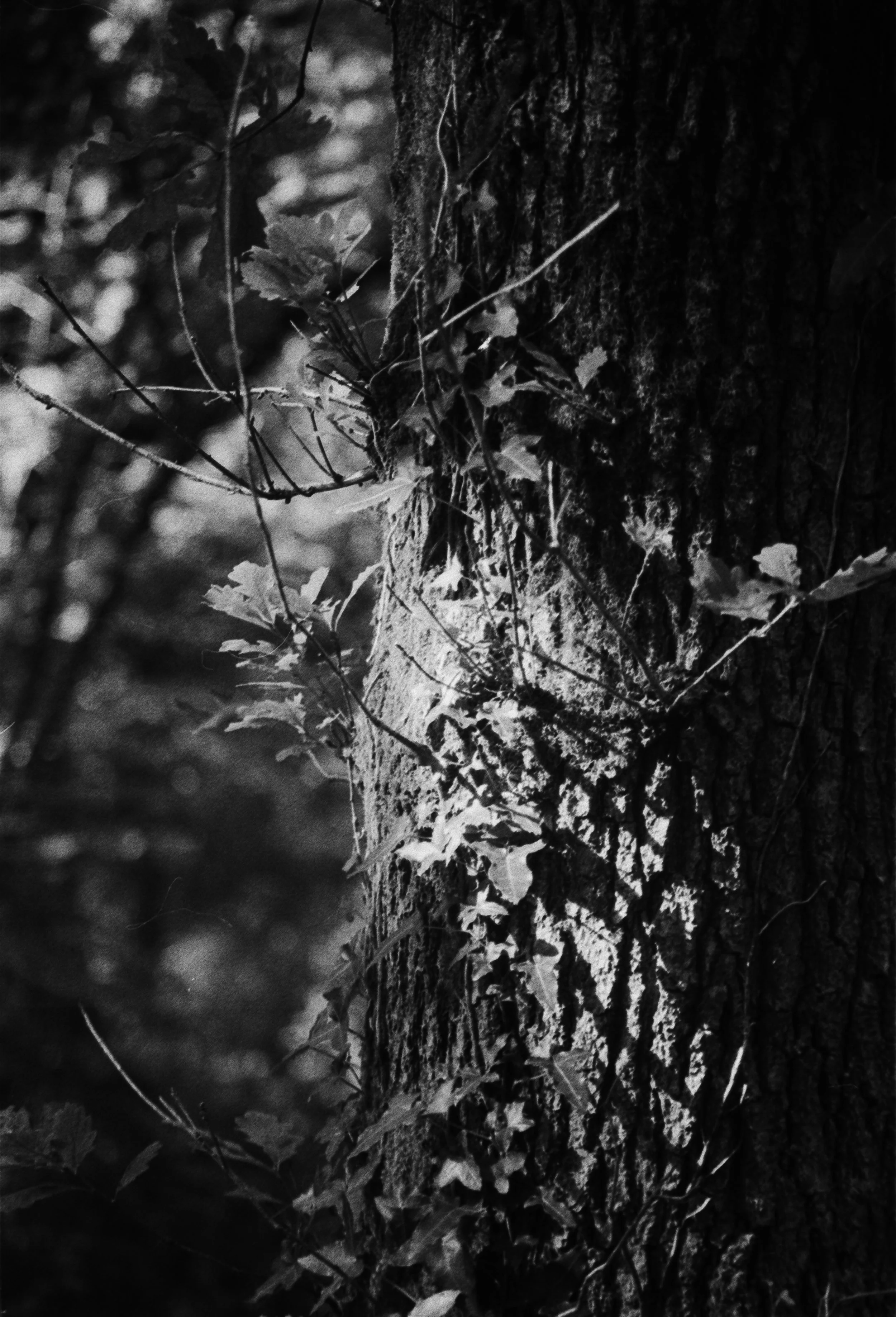 K400A 120526 (15) Yashica 270.jpg
