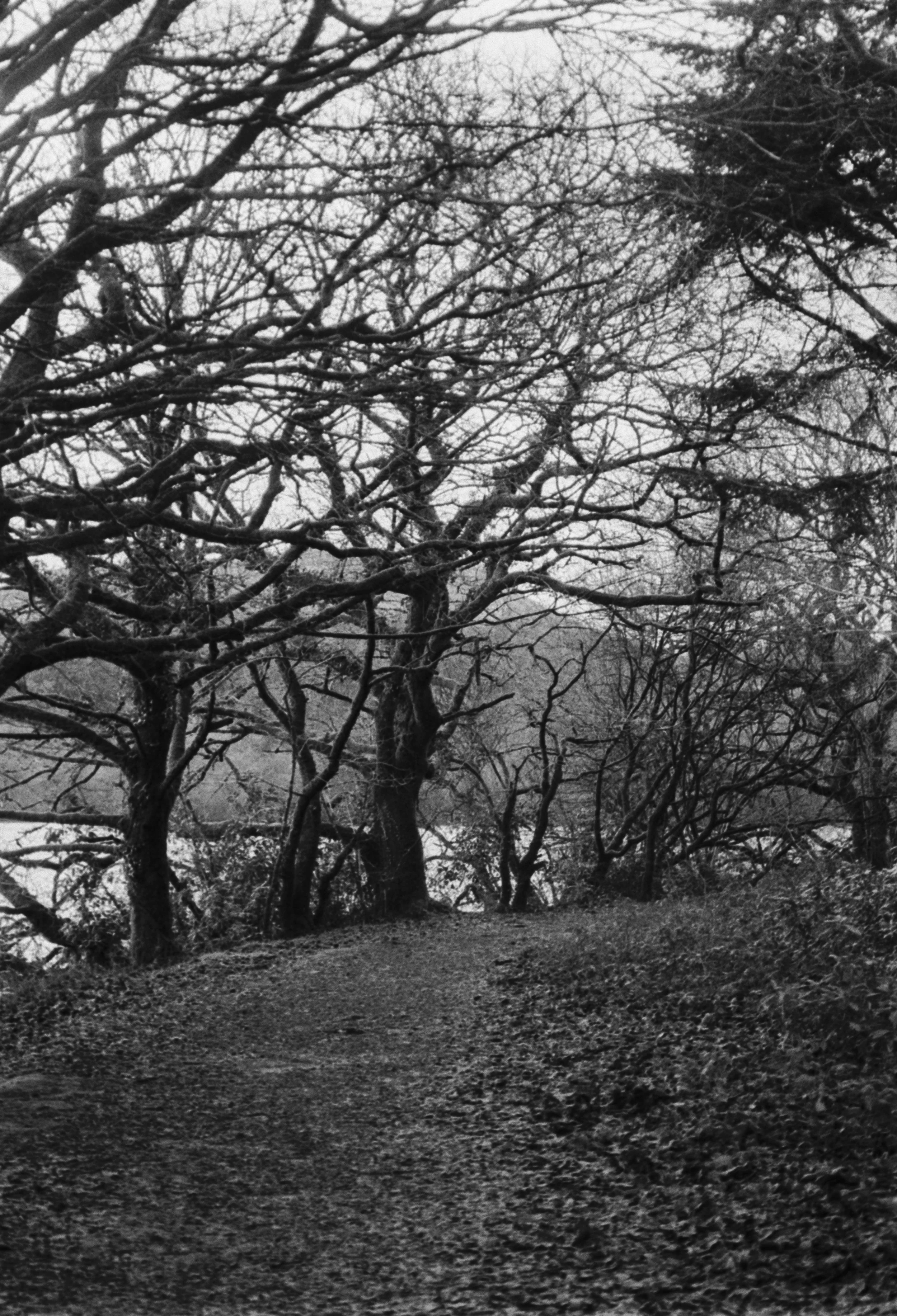 K400 BHP 221225 (2) Yashica Zoomtec 90 Super.jpg