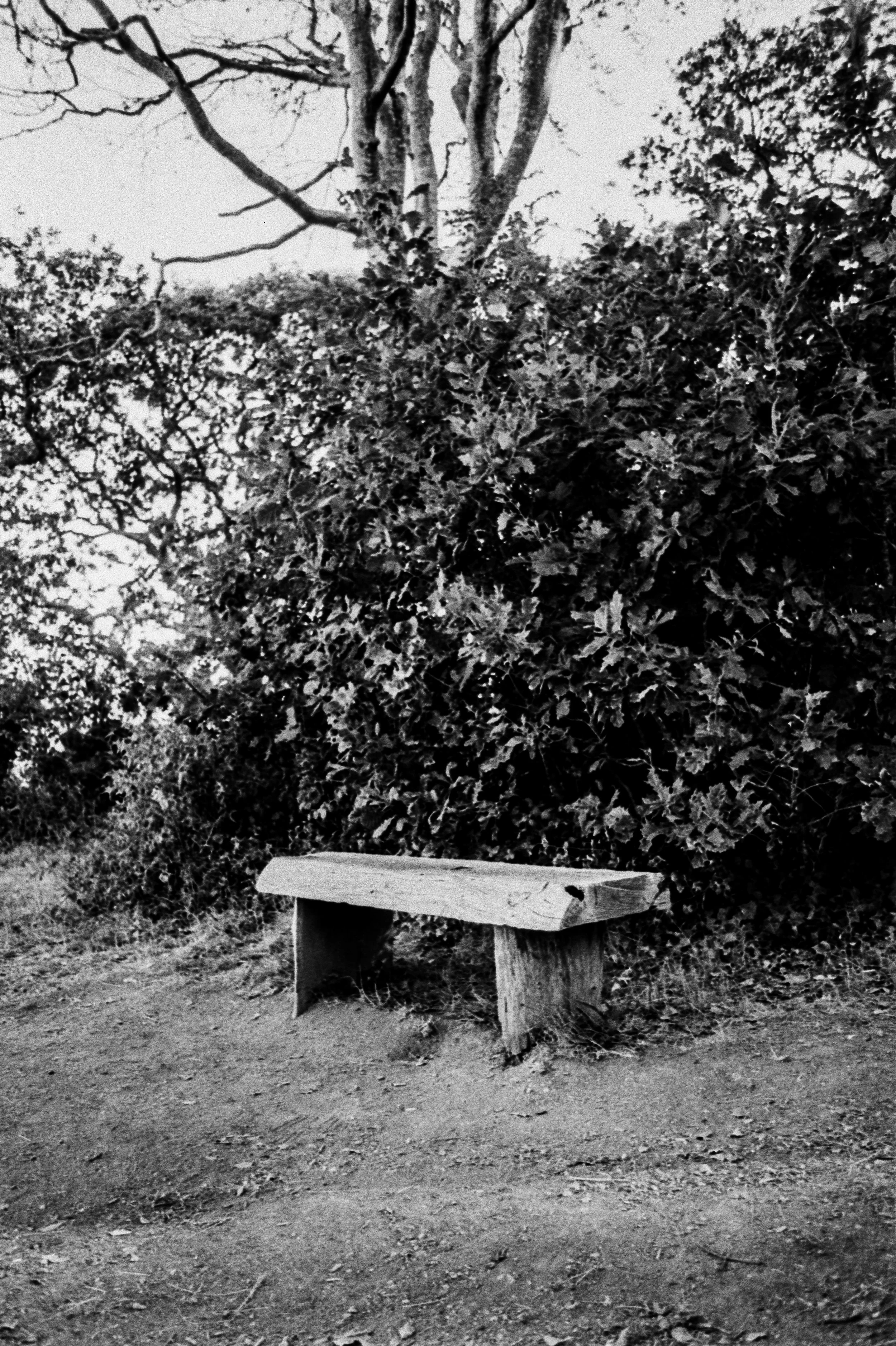 K100 A 22 08 26 (11) - Minolta X-300.jpg
