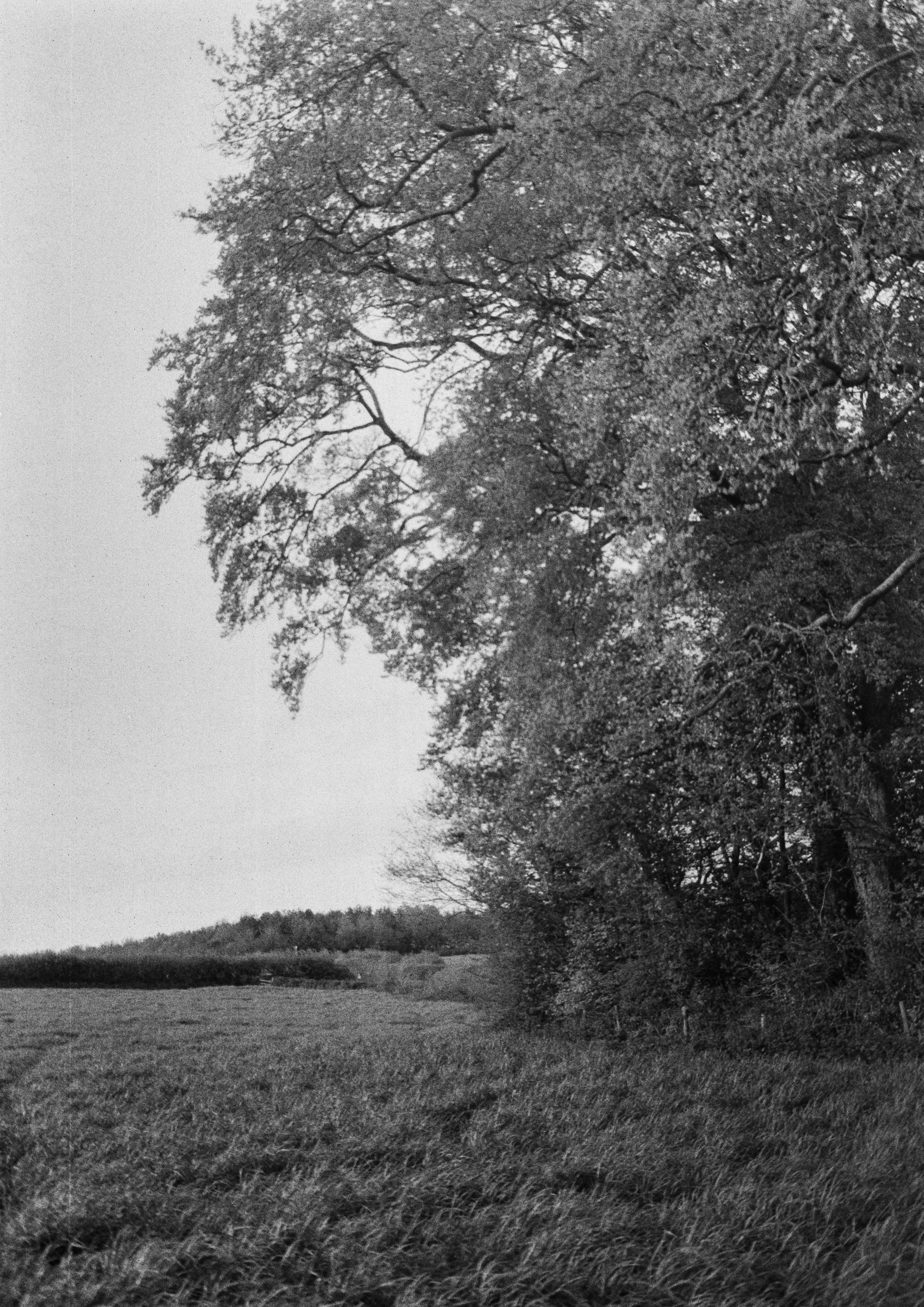 K100 BHP 190426 (9) Praktica BX20 35-70mm.jpg