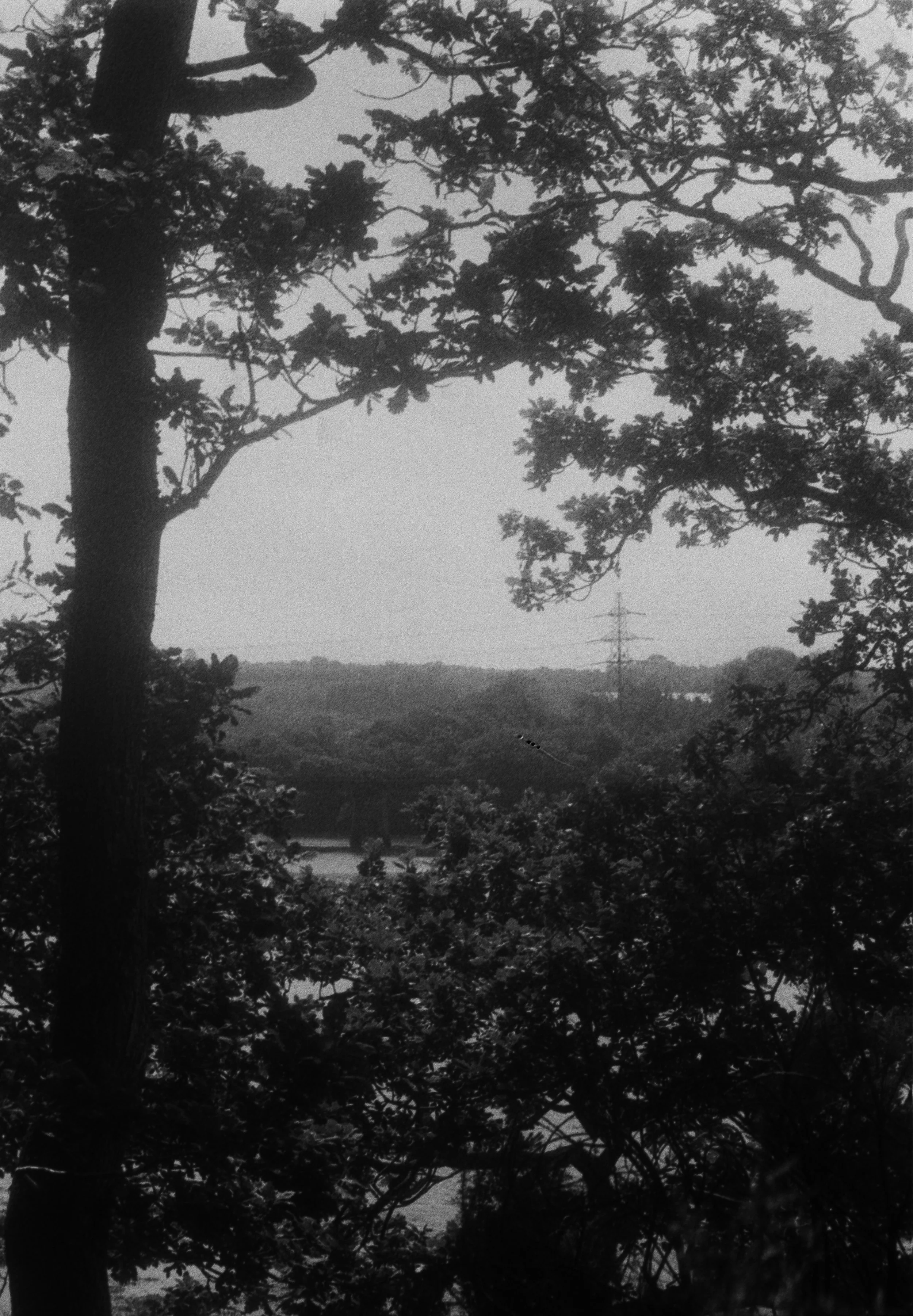 K400A 120526 (4) Konica Lexio 70.jpg