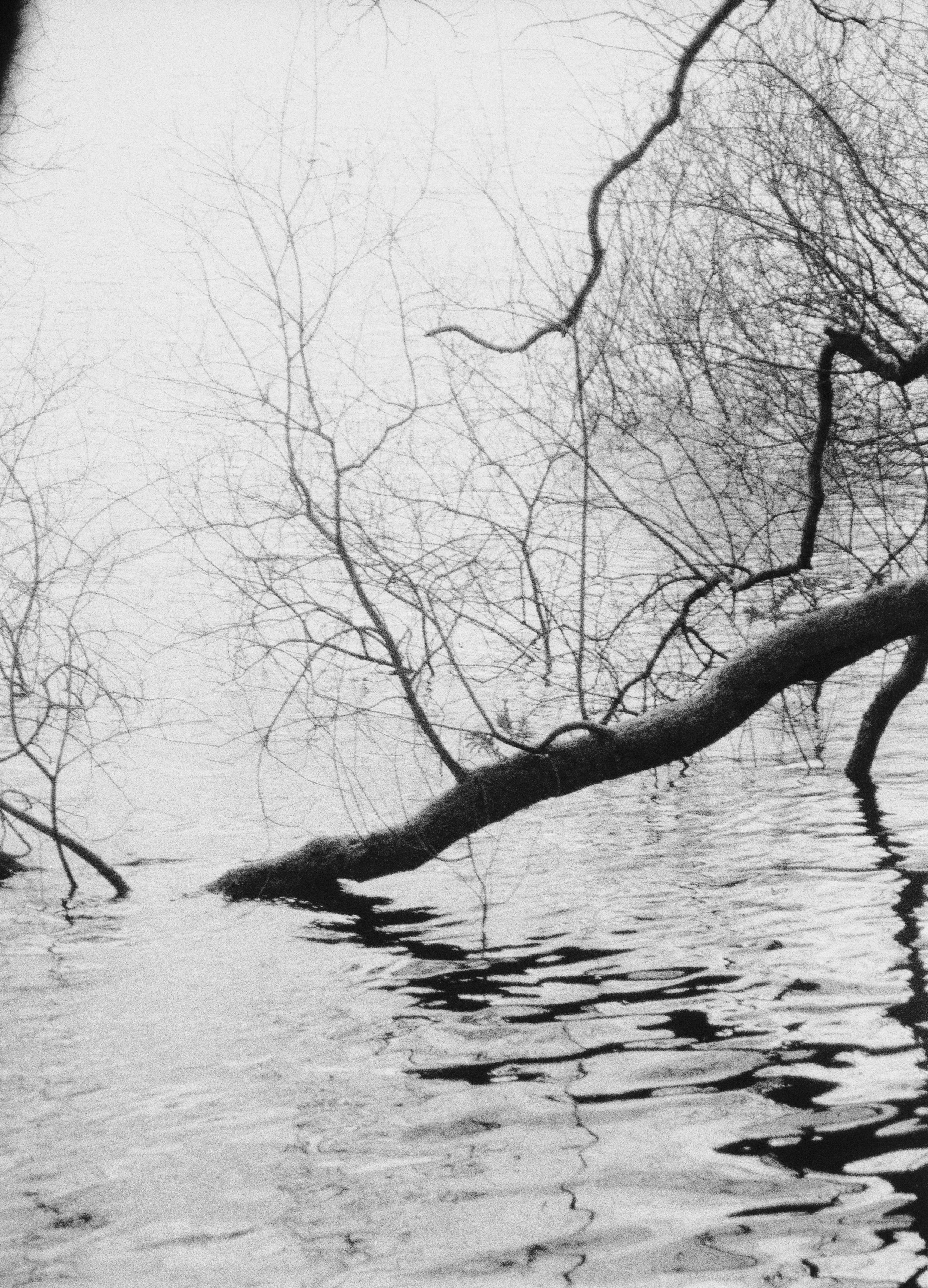 K400 B HP 101225 (35) Minolta Dynax 404si 35-80.jpg