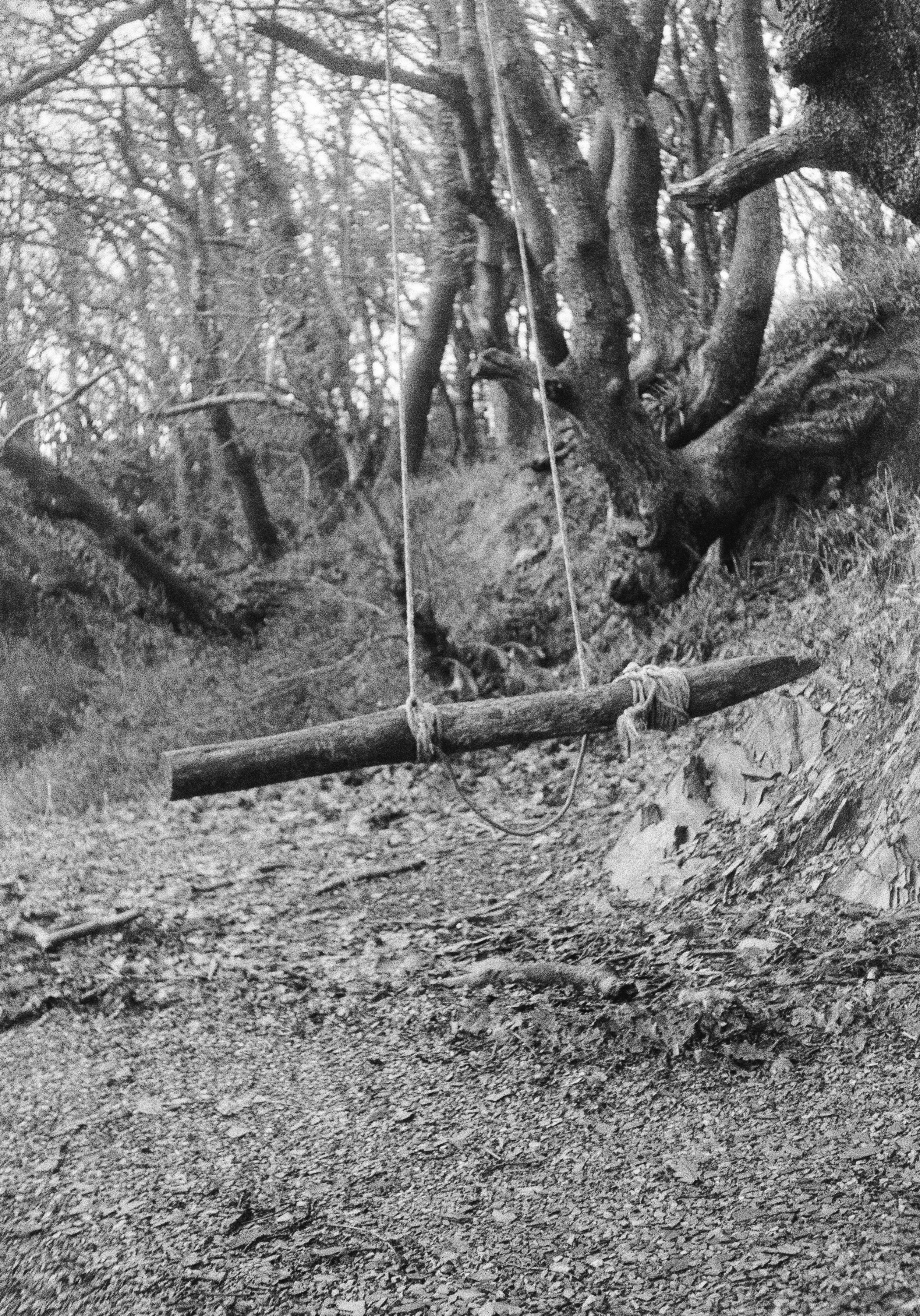 K400B HP 170126 (8) Fuji Pet 35.jpg