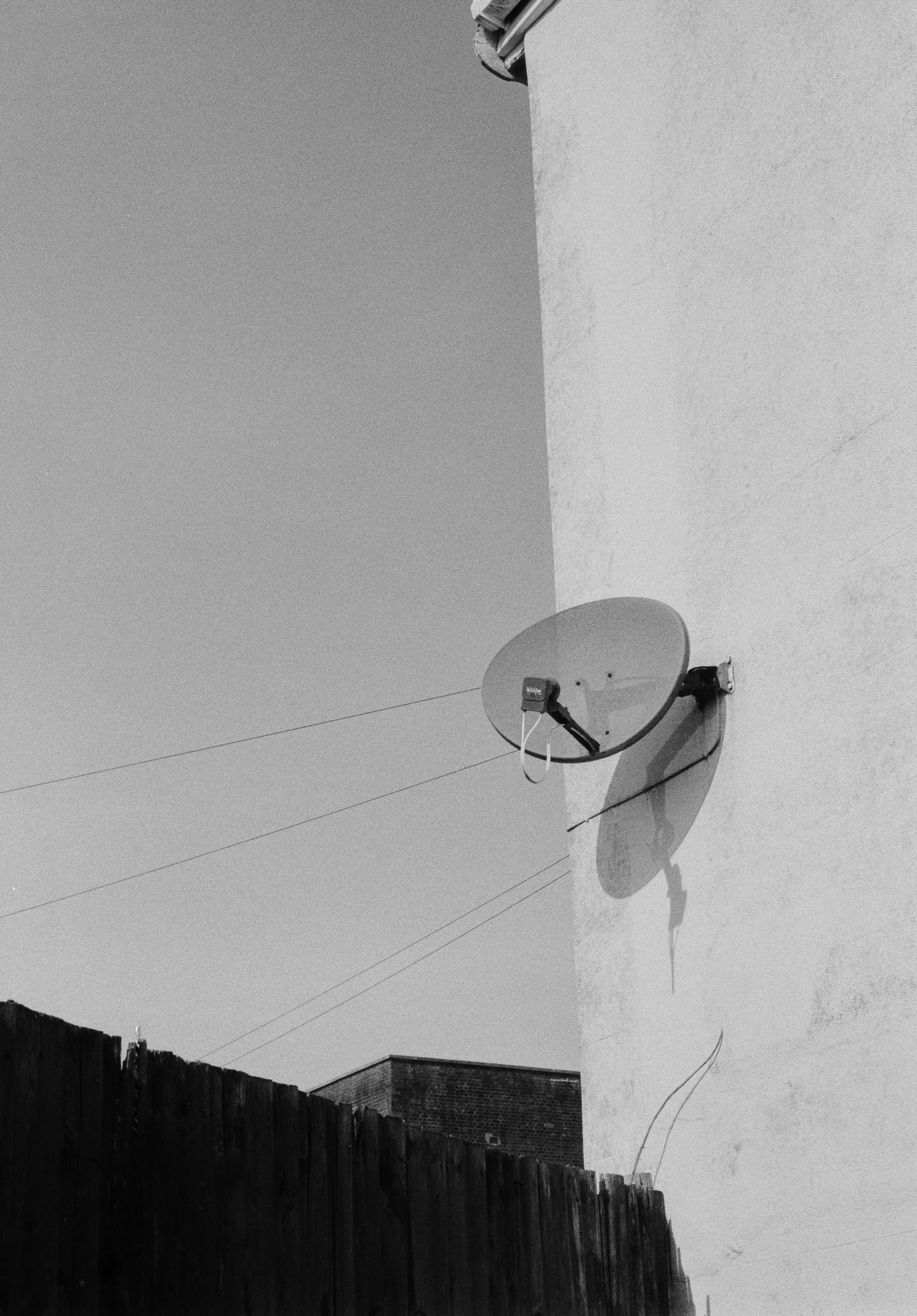 K200 A 210226 (31) Canon T50 50mm.jpg