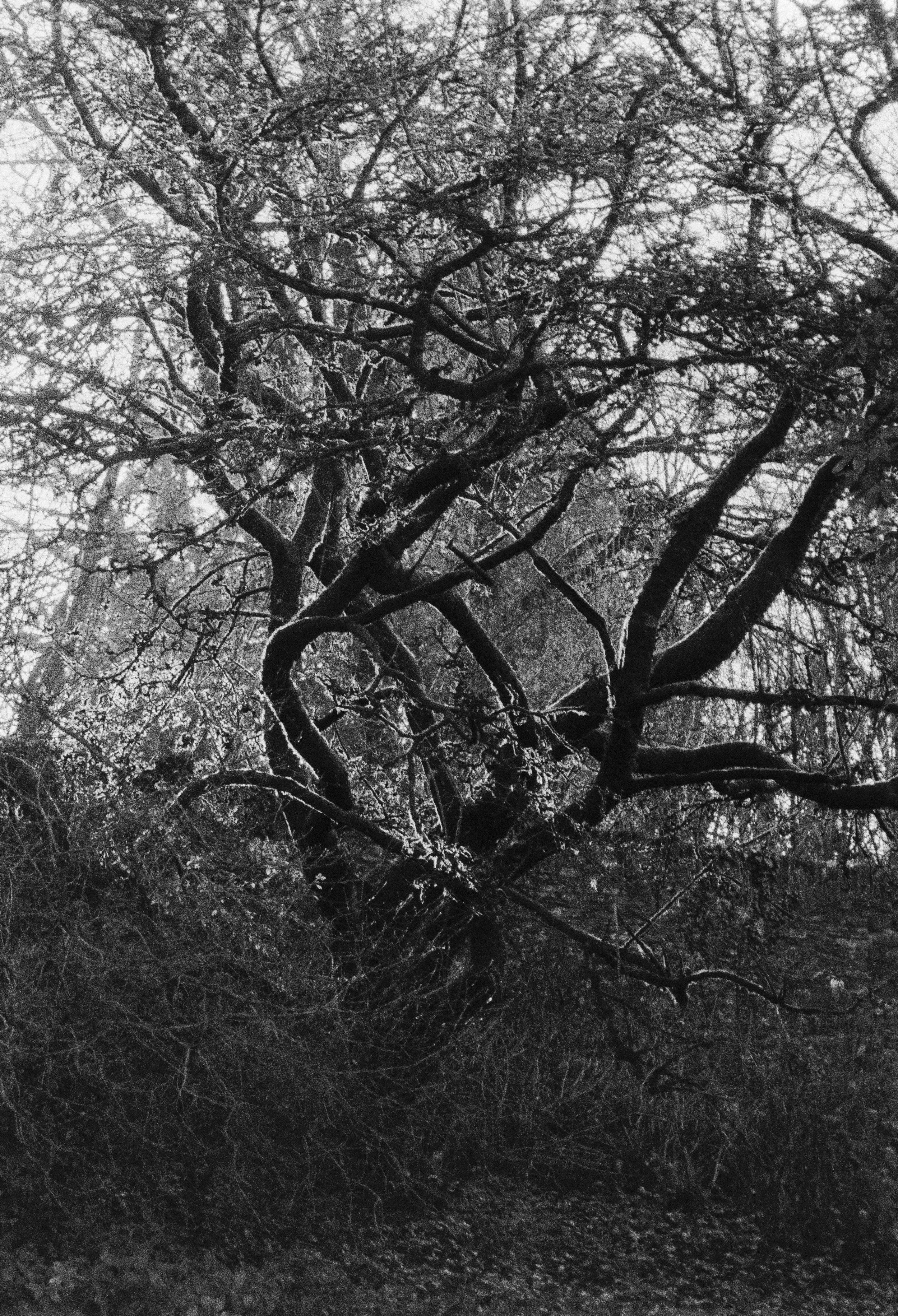 K400 A 101225 (35) Ricoh RZ-900 Date.jpg