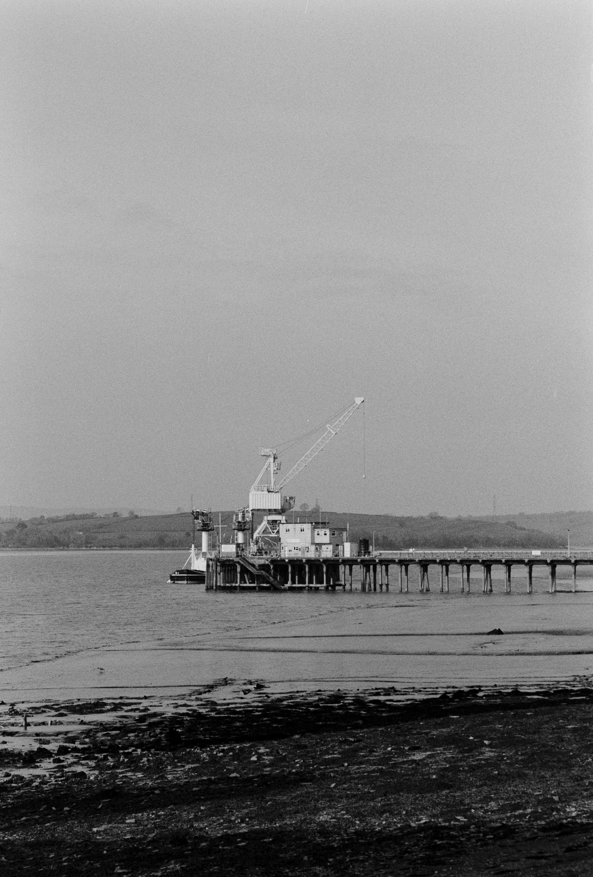 K100A 220326 (13) Minolta X-570 Sigma 28-75mm.jpg