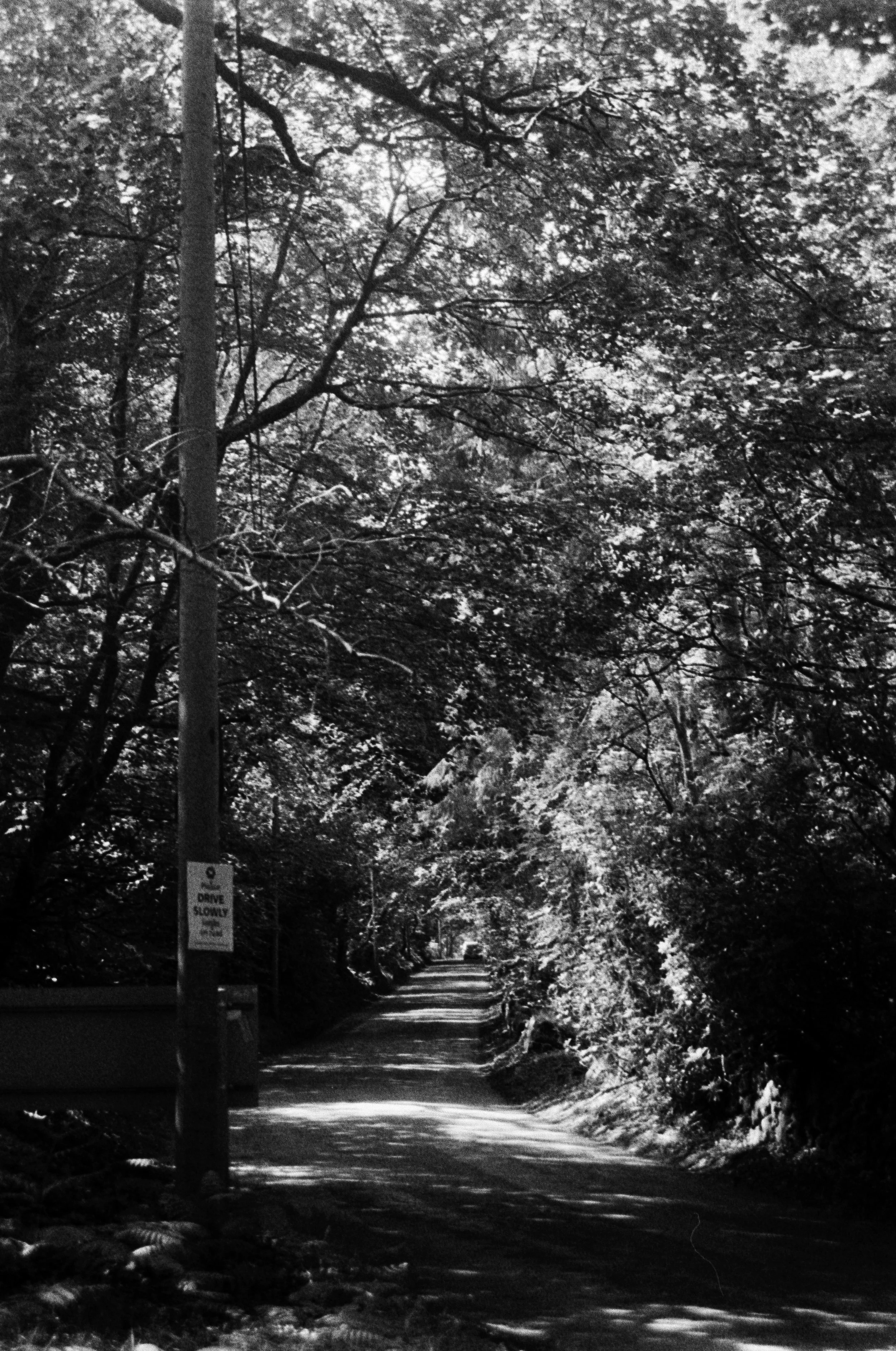 K400 BHP 200626 (19) Minolta XG2 28-70mm.jpg