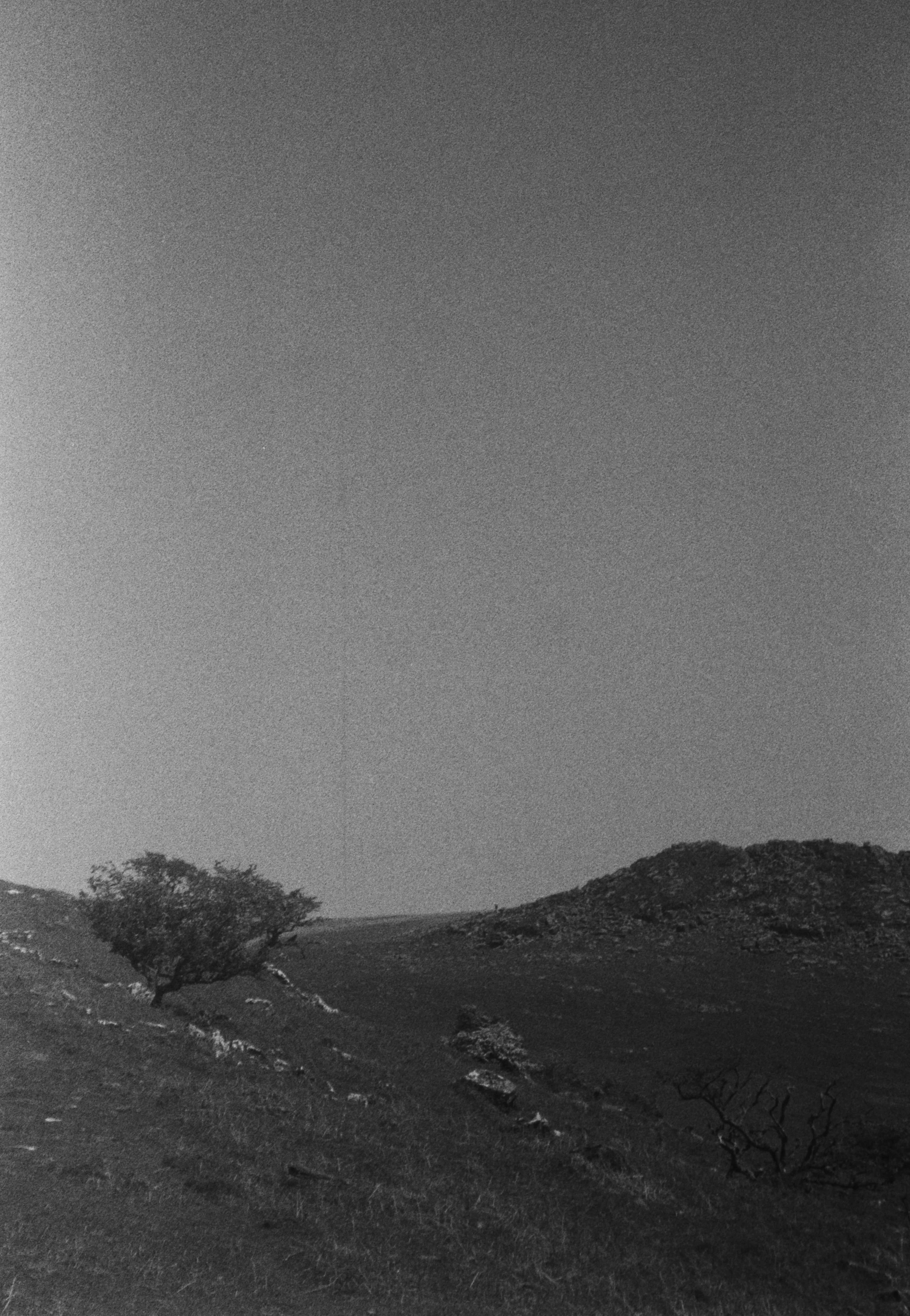 K400 BHP 120526 (22) Praktica BC1 SIRIUS 28-200mm.jpg