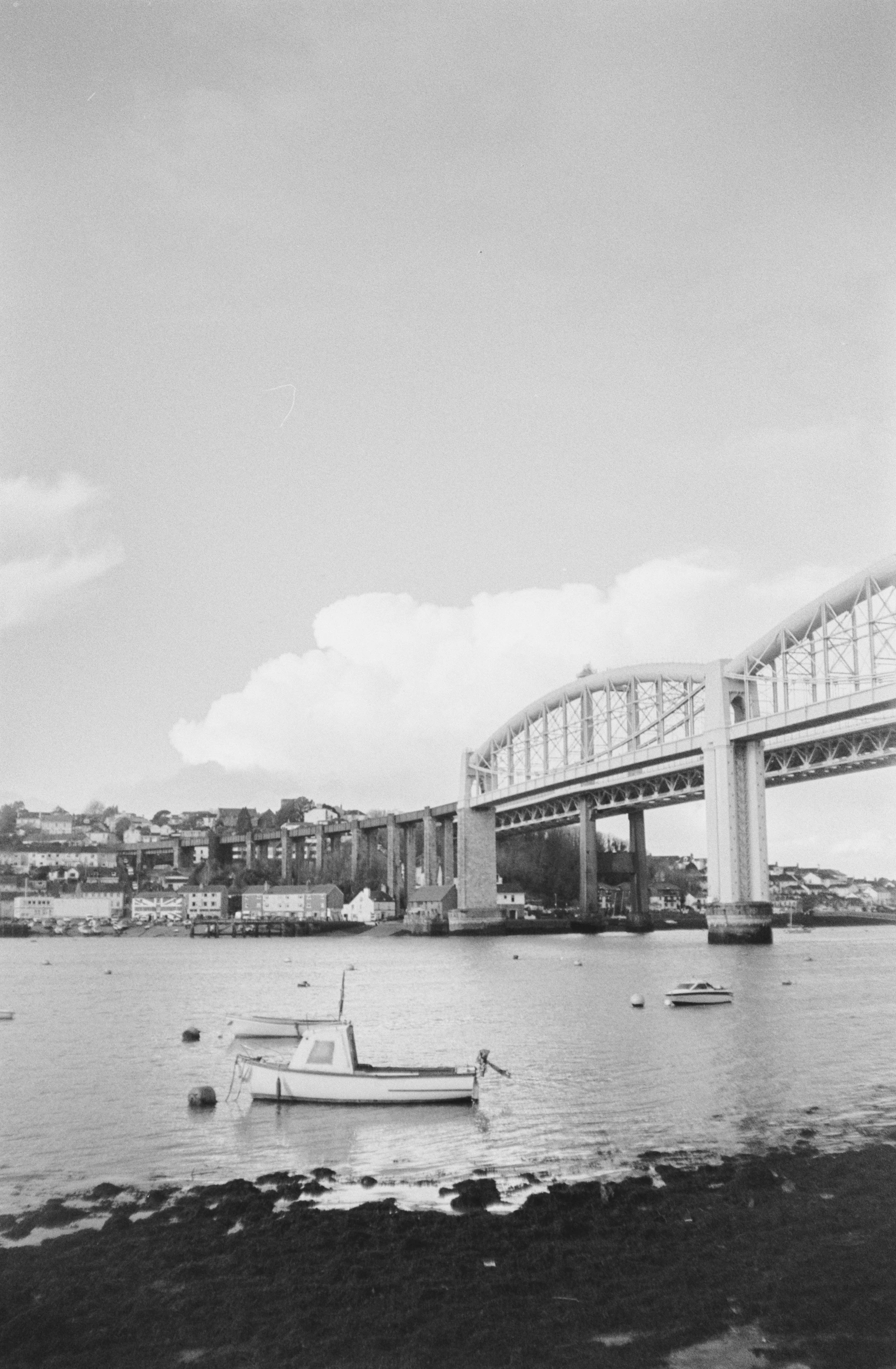 K100 B HP 140126 (36) Olympus Trip 100.jpg