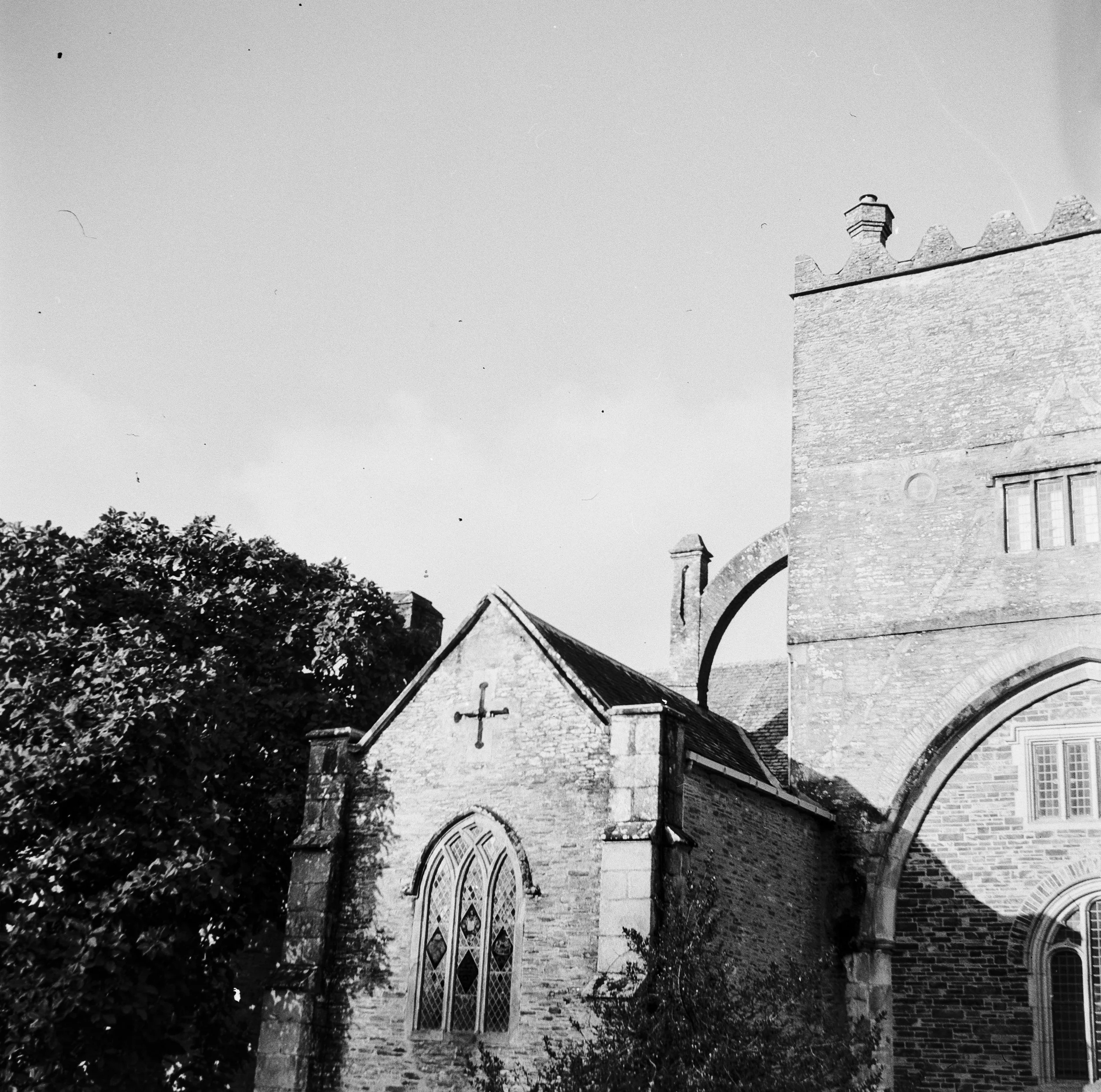 120 Kentmere 200 151225 (2) Lubitel 2.jpg