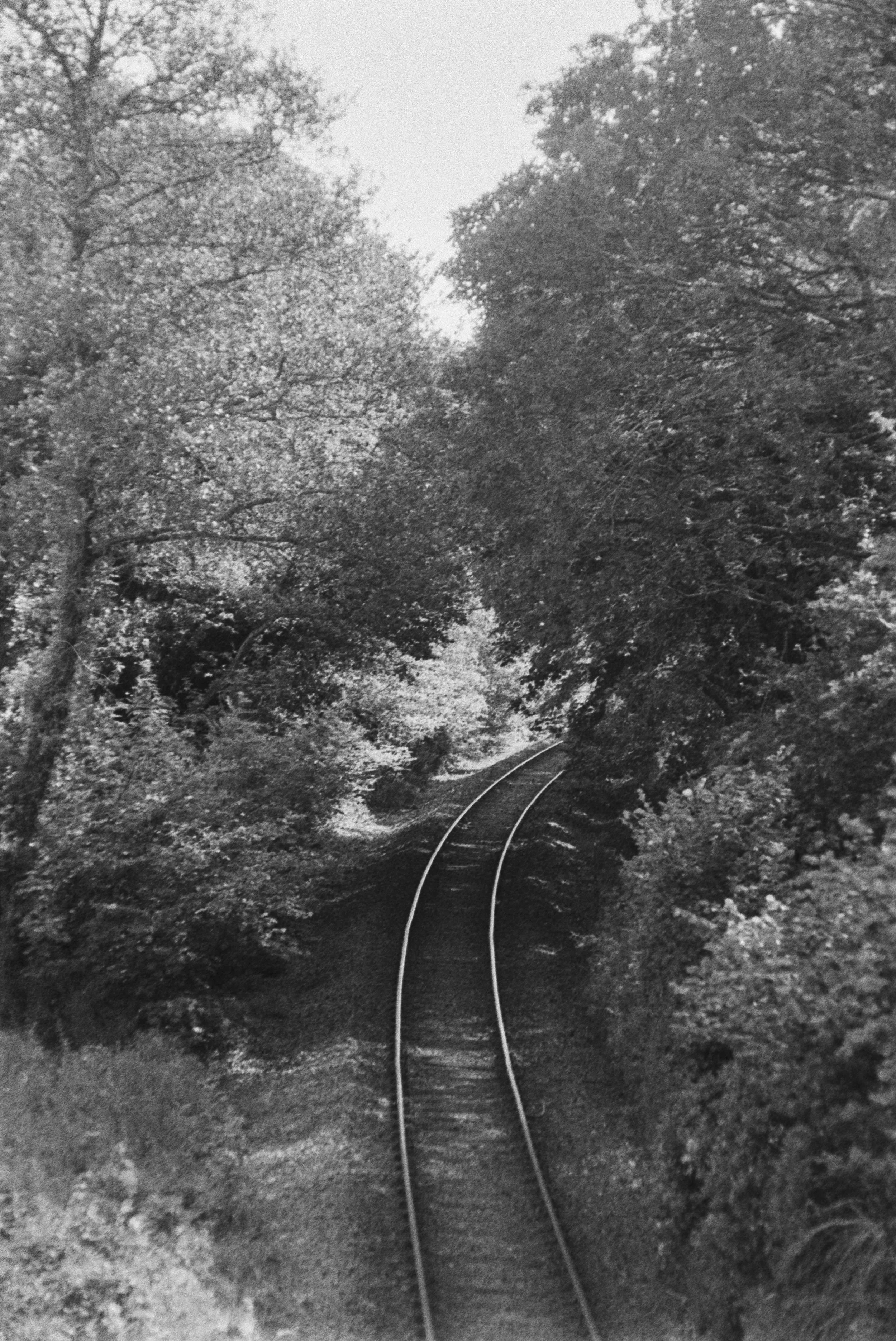K400 BHP 120526 (30) Sigma 60-200mm Min AF.jpg