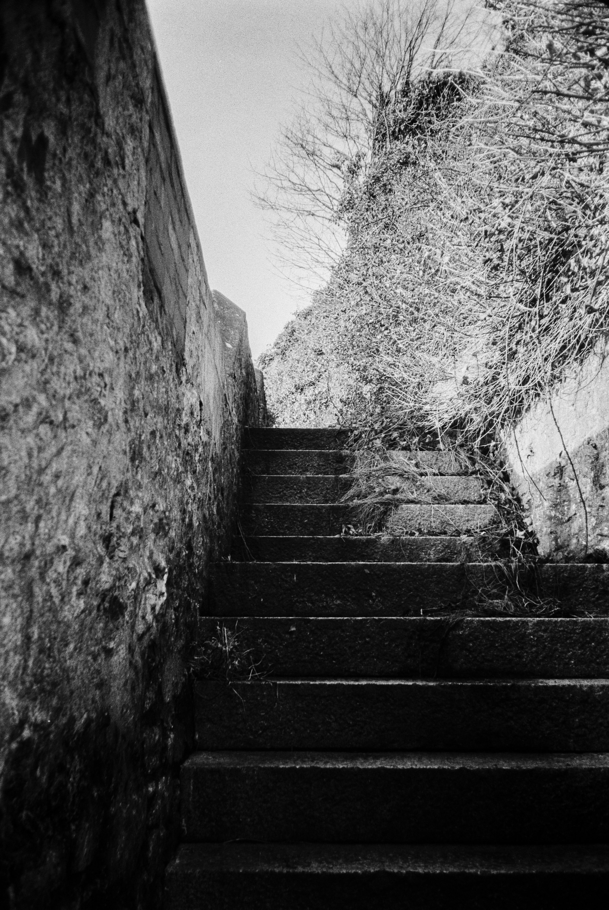 K200 A 300126 (34) Vivitar EZ250.jpg