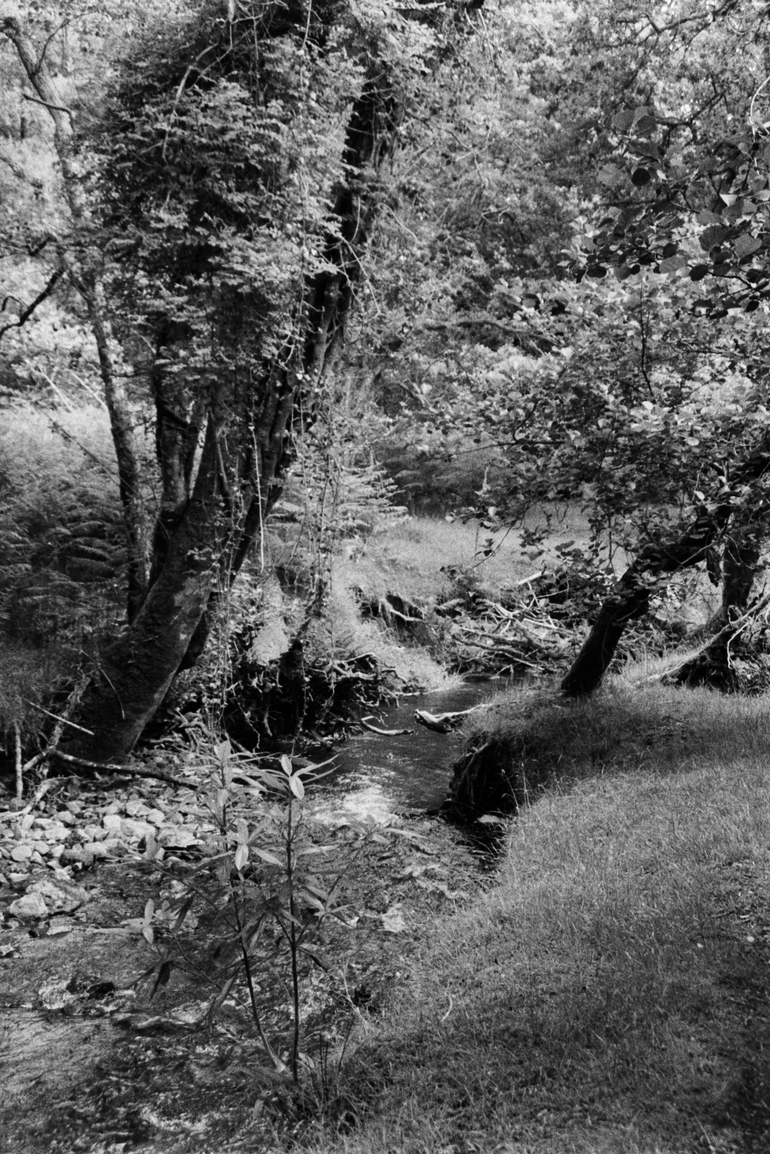K400A 200626 (13) Min AF 35-80mm (017).jpg