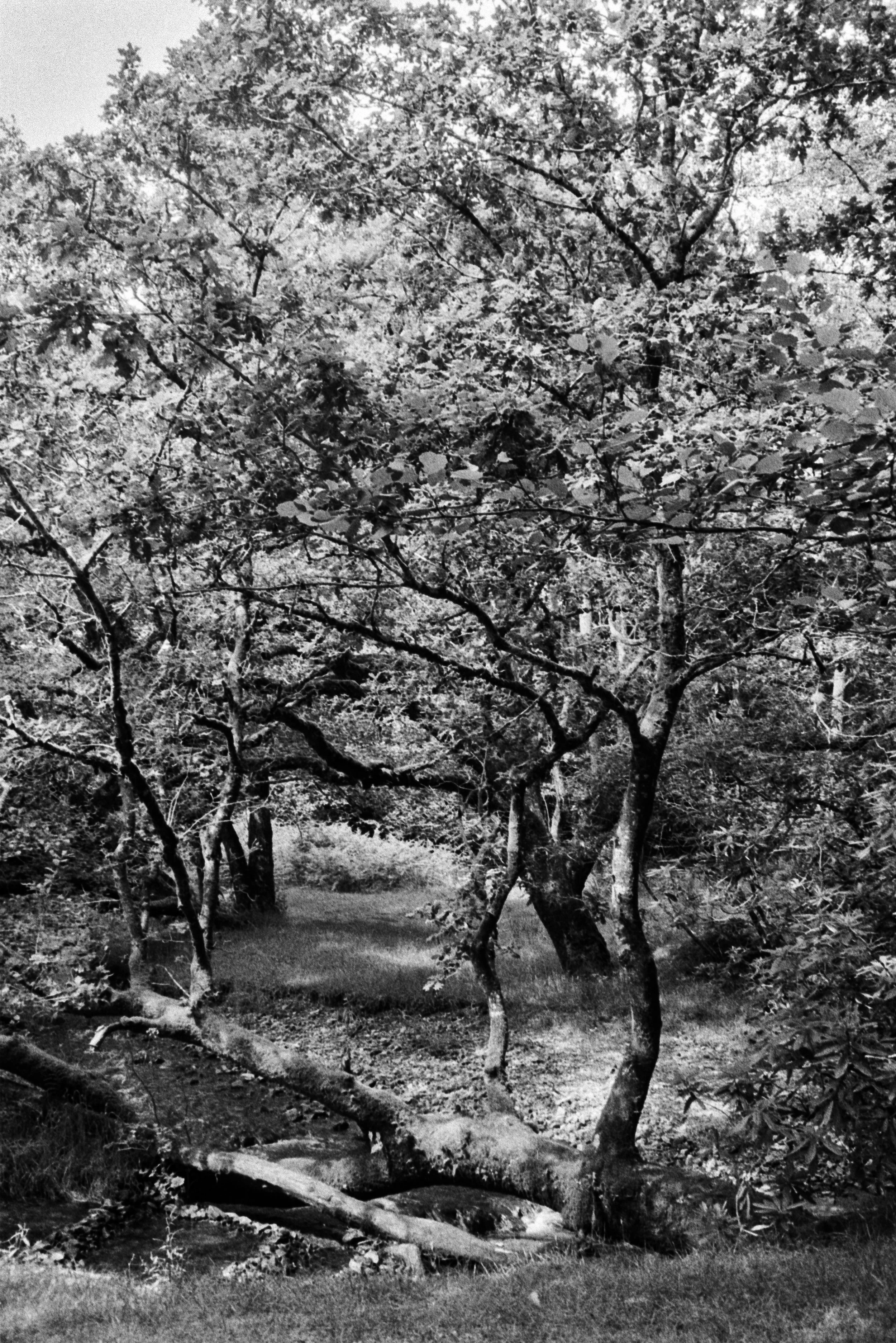 K400A 200626 (9) Min AF 35-80mm (528).jpg
