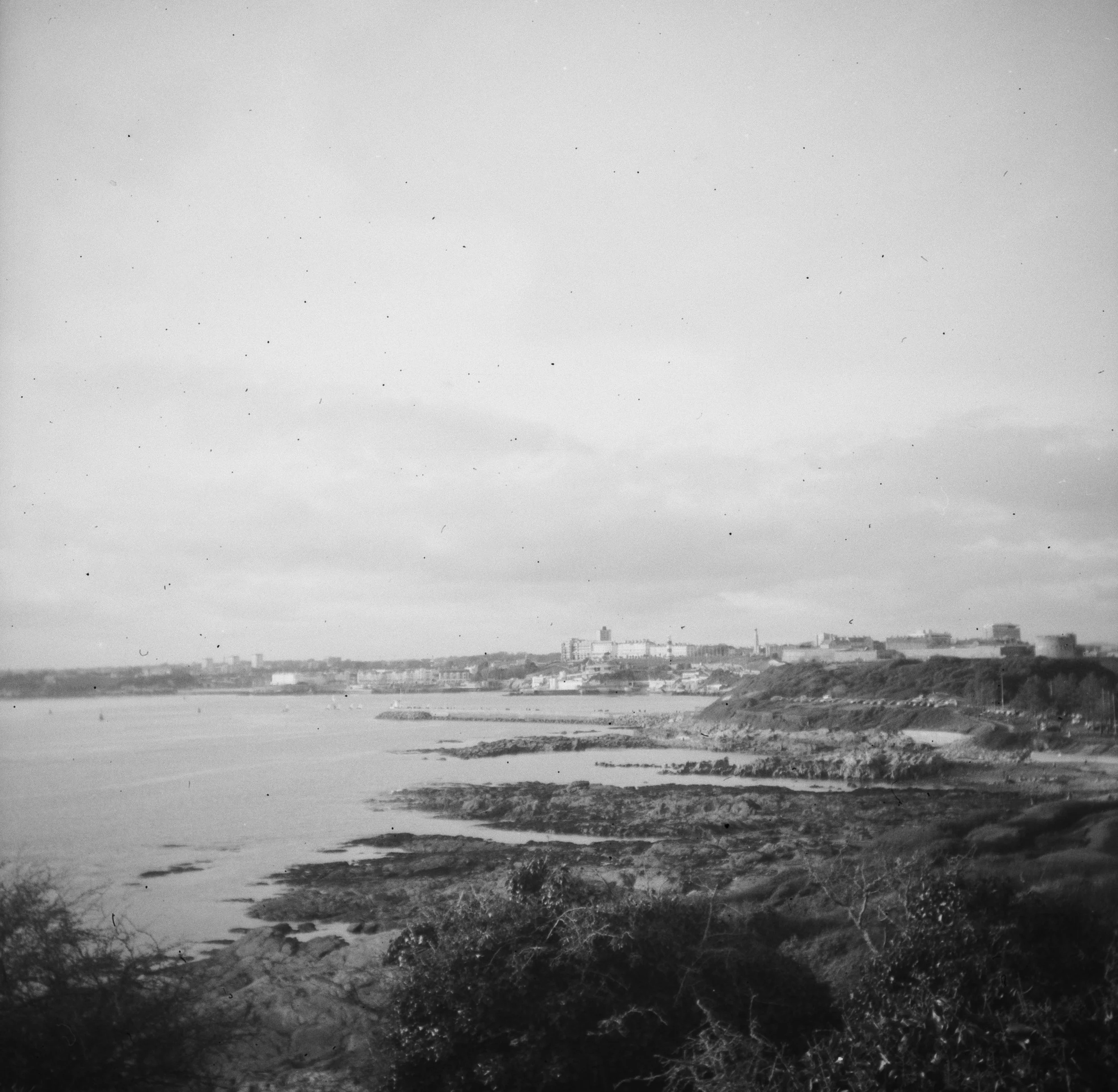 120 Kentmere 100 020126 (5) Dacora Digna.jpg